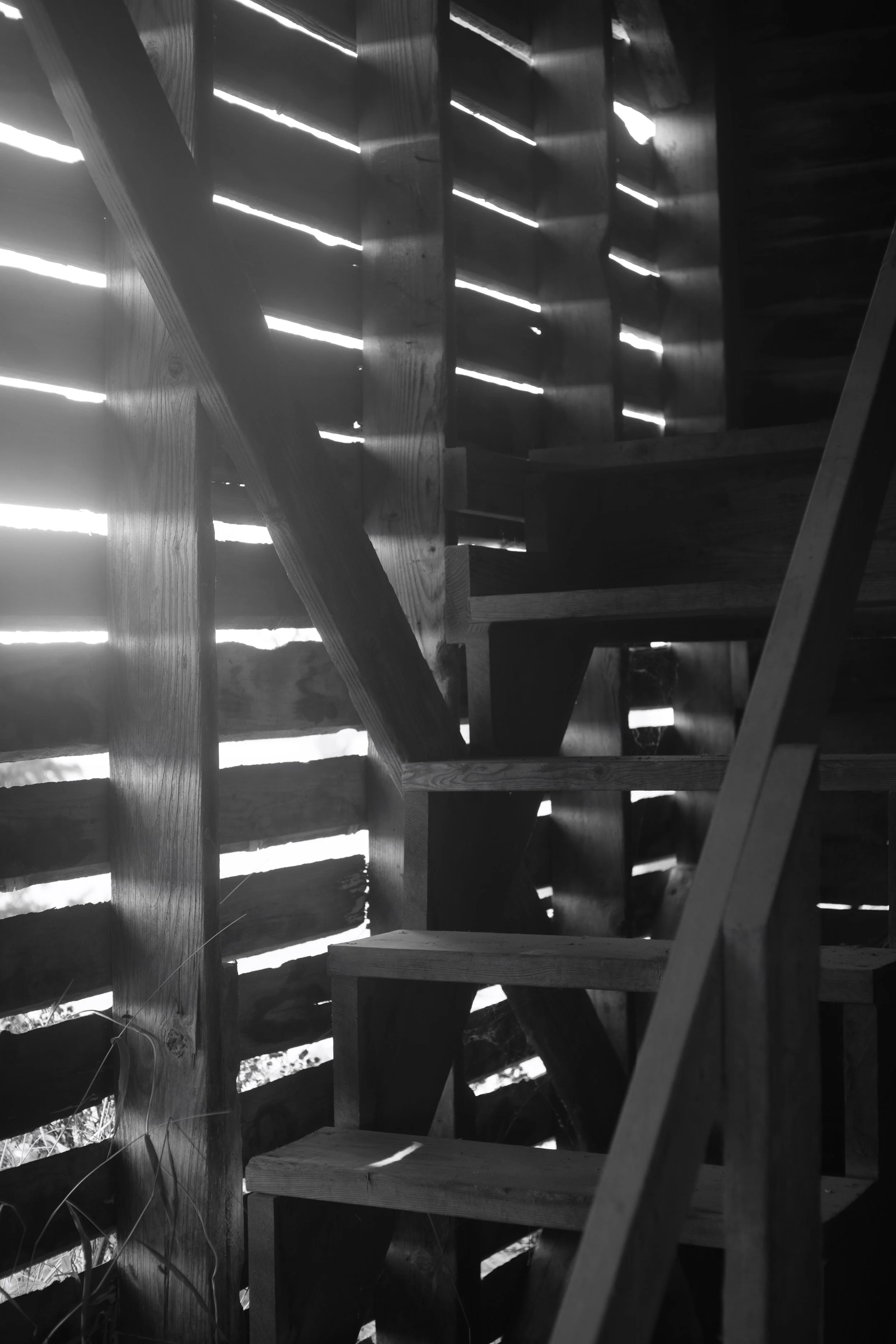 2025 Wright Farm030.jpg
