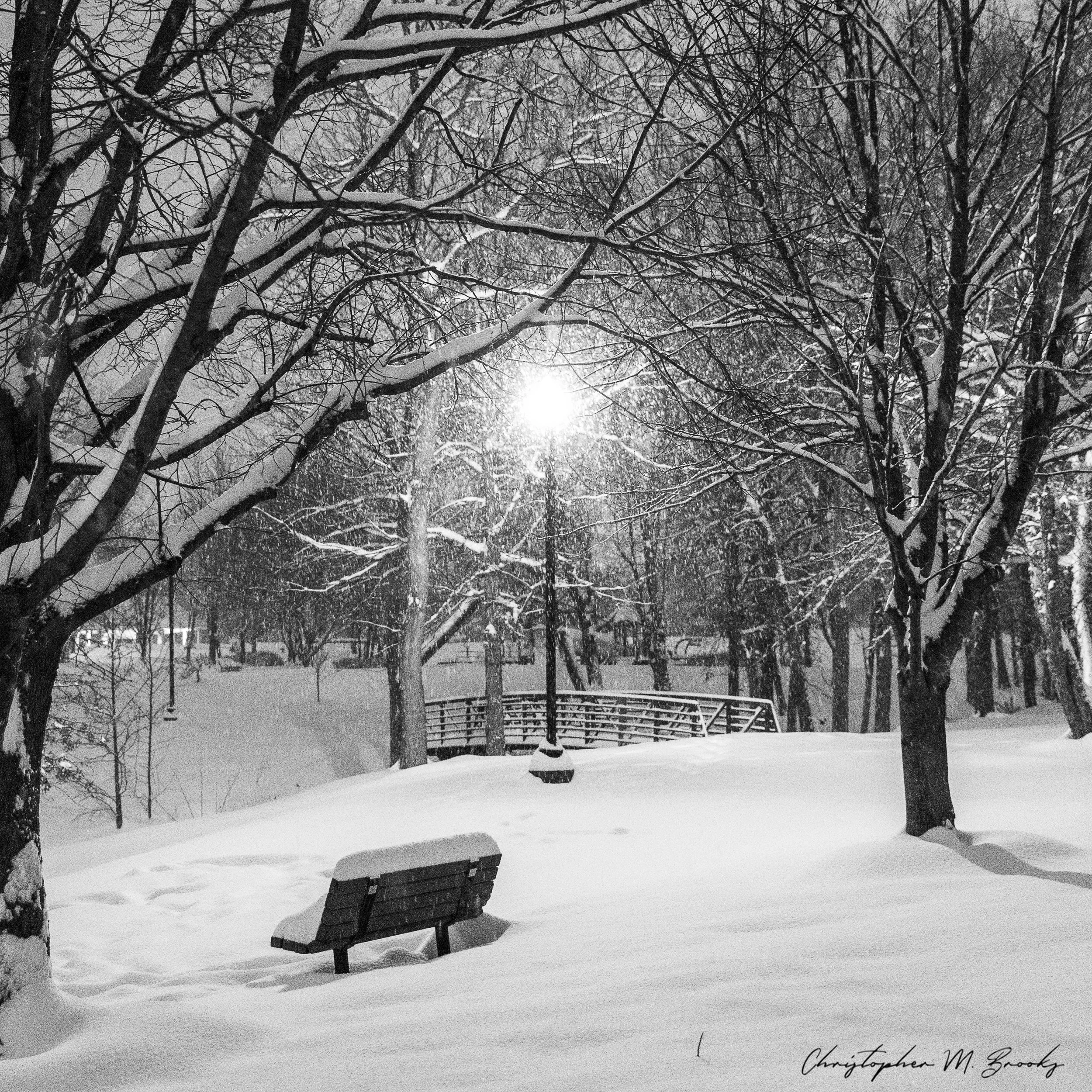 Jan_2019_Snow03.jpg