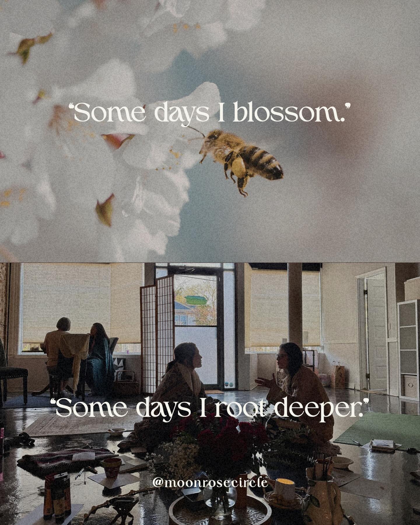 There was something really special about our First Women&rsquo;s Circle in Richmond 🌸

A room full of women choosing to slow down, listen, share honestly, and hold space for each other. No pressure to be anything other than where we are in our seaso