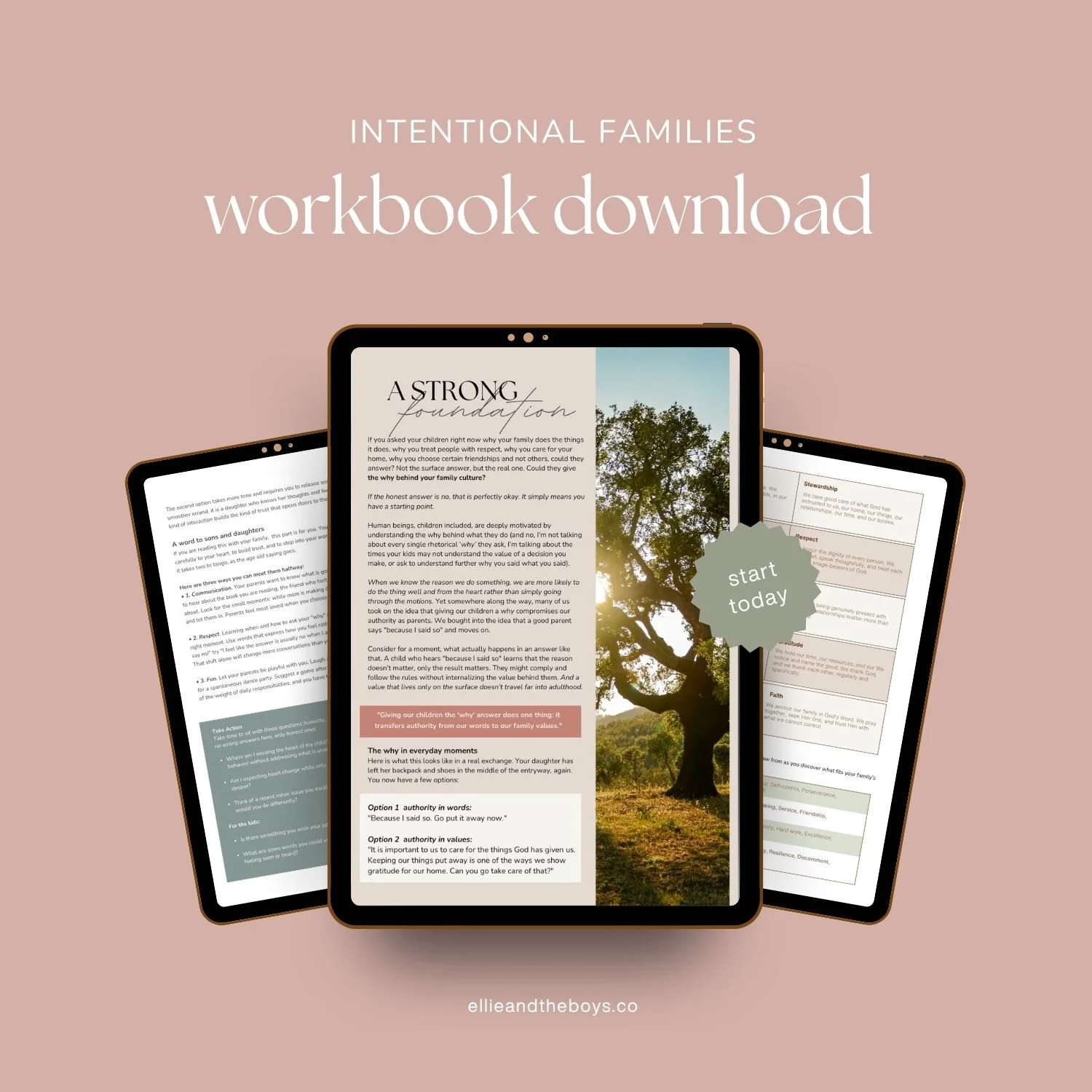 Intentional Families Workbook Download