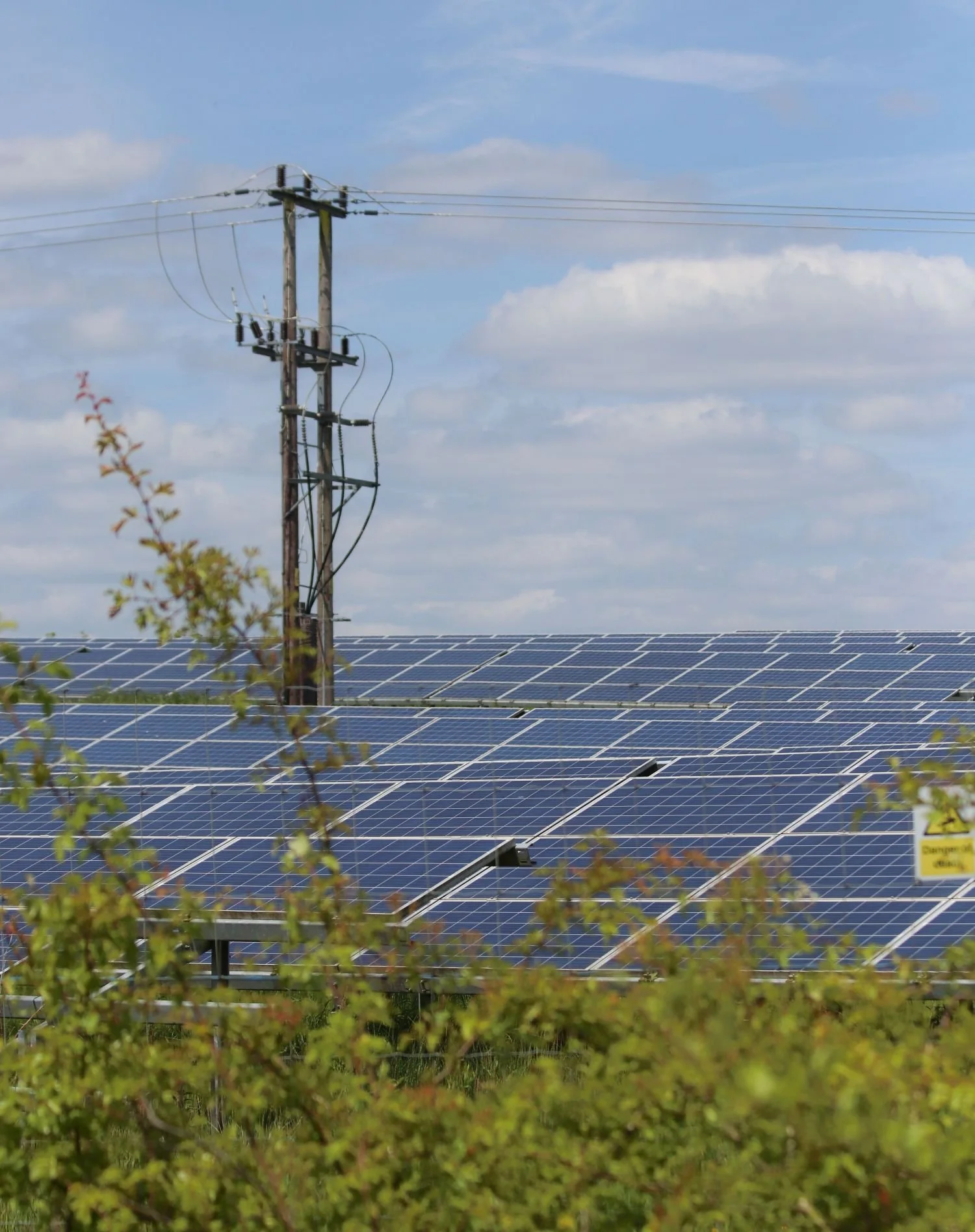 Coalition takes a chainsaw to cheaper power and climate action