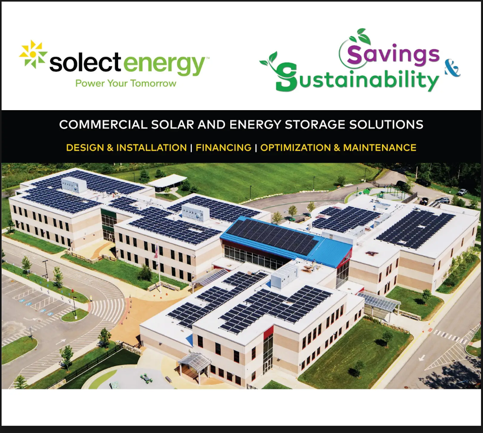 Savings+sustainability.png