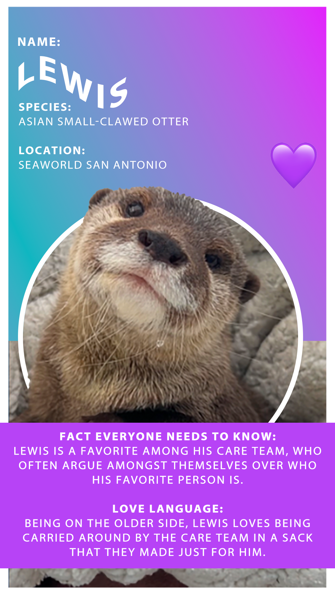 SW_Valentines_Lewis.png