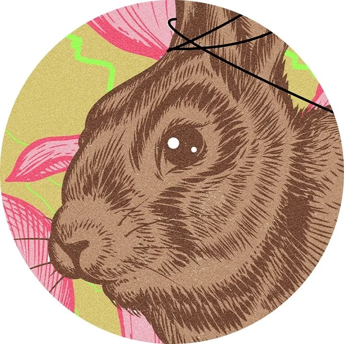 Ontario, Yours to Discover