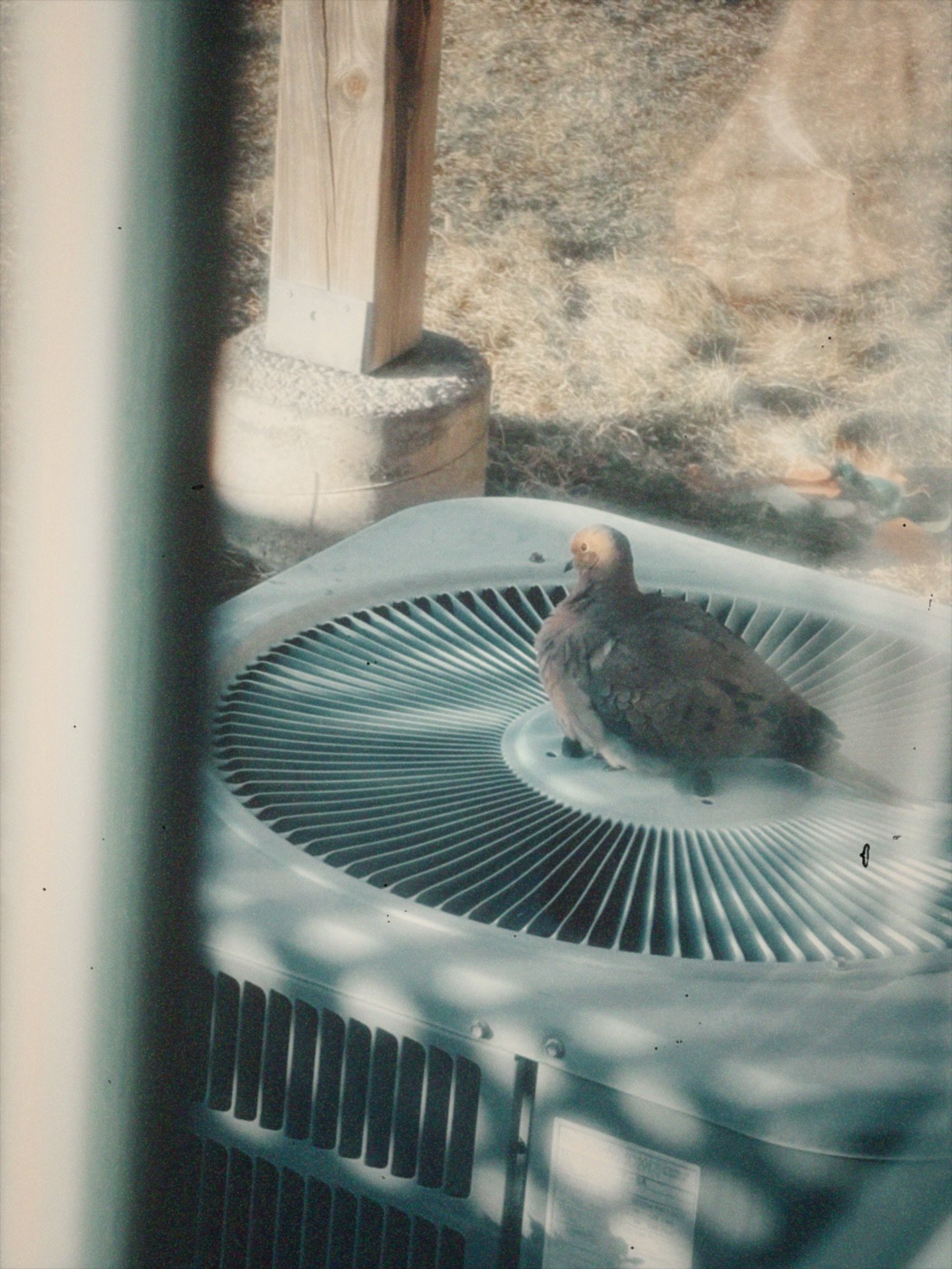 every morning half way thru my first coffee, there is usually a moment that I can feel all my nerves sharpen, cells jumping off in my brain; I can see things with such clarity, and anything is possible. if lucky I get to feel that once a day, its a g