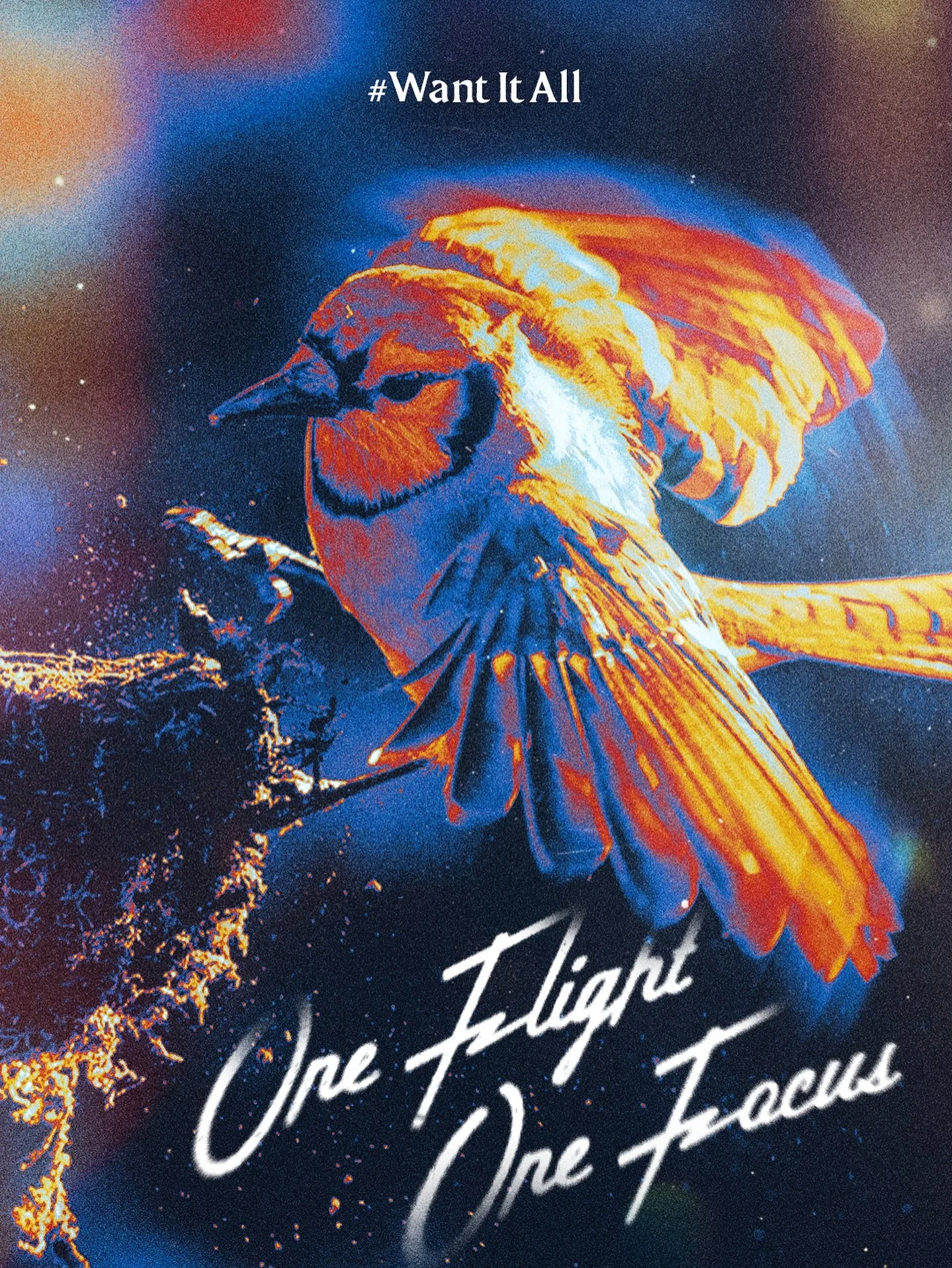 Being it home boys. 
#TorontoBlueJays #WantItAll #WorldSeries #braindamagecreative