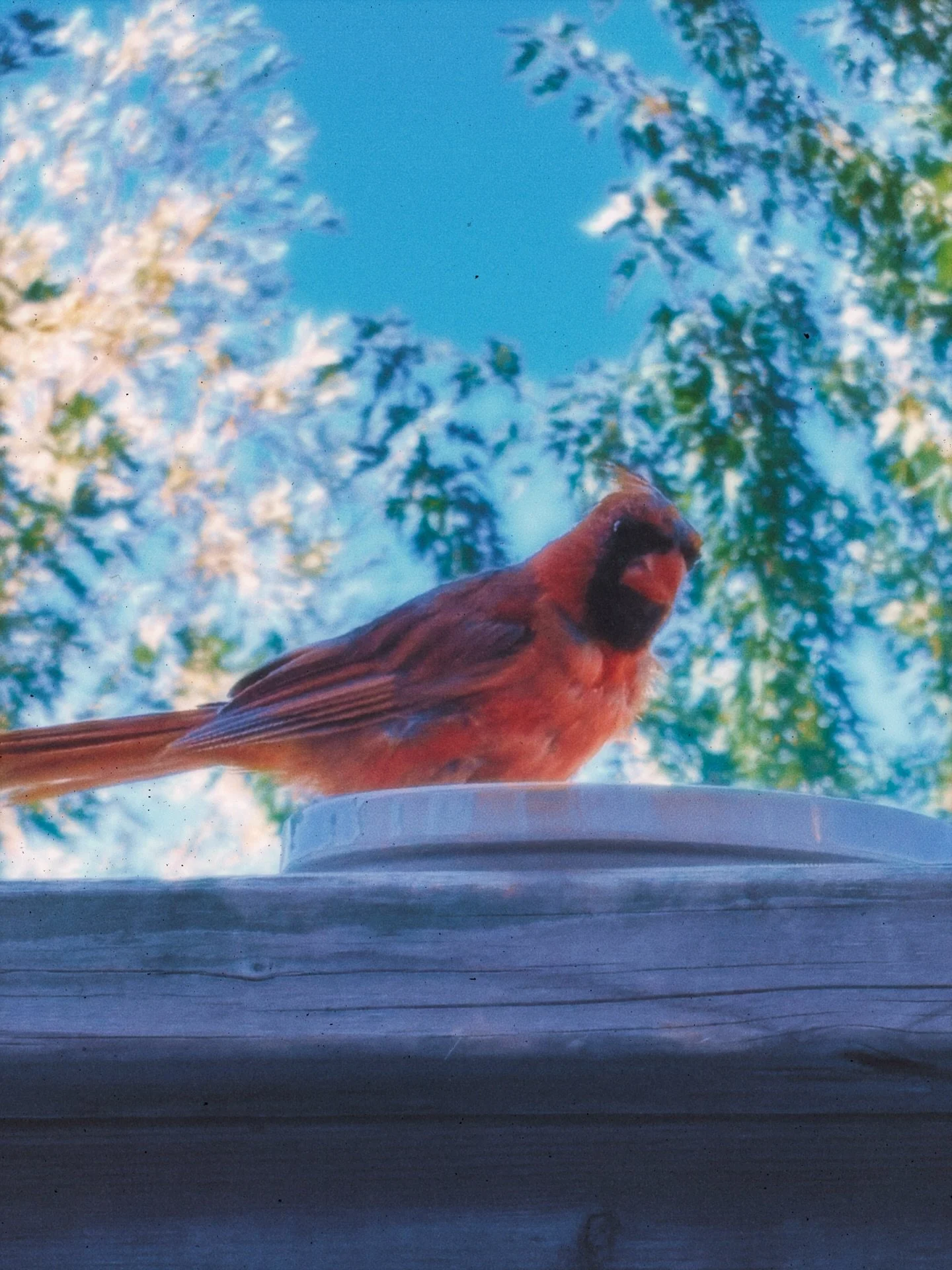 the best thing I can do today is keep moving forward.