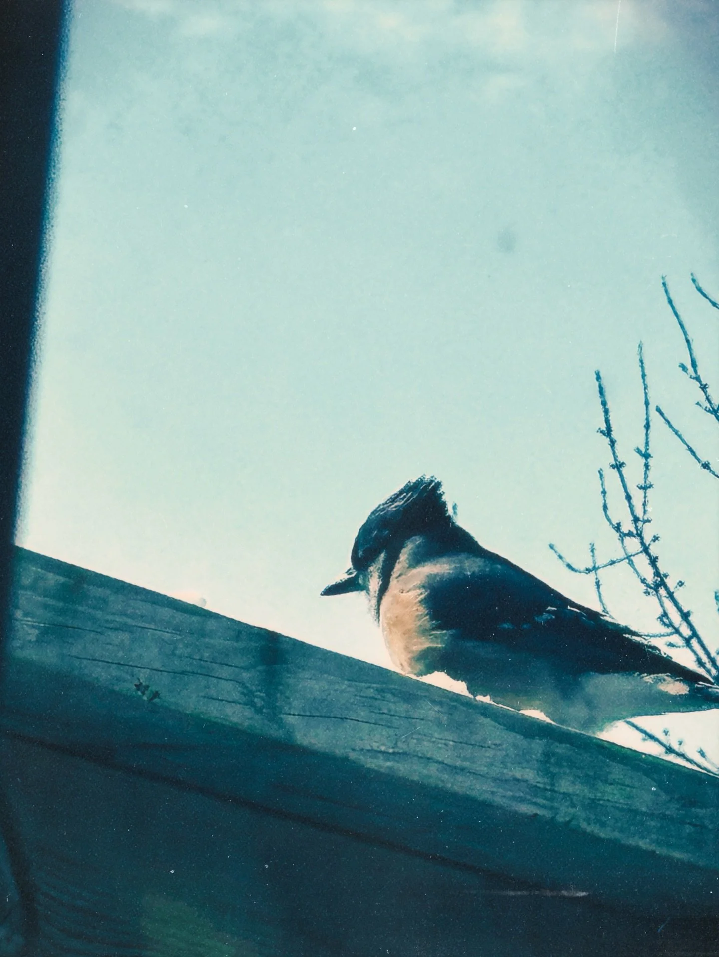 by will or by chance.