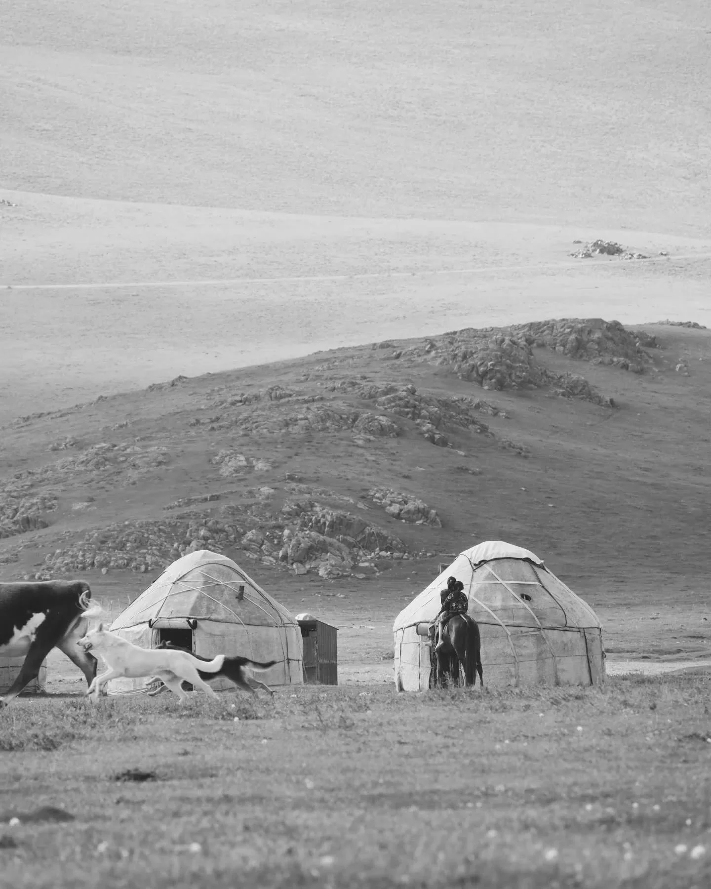 Es ist jetzt 18:58 Uhr. Ich sitze auf einer Wiese an einem Berg neben einem Fluss. Auf dem Hang neben mir sind Schafe und ich h&ouml;re die K&uuml;he schreien. Sie sind laut. 

Ali, der j&uuml;ngere der beiden, tr&auml;gt einen Topf mit gelbem Inhalt
