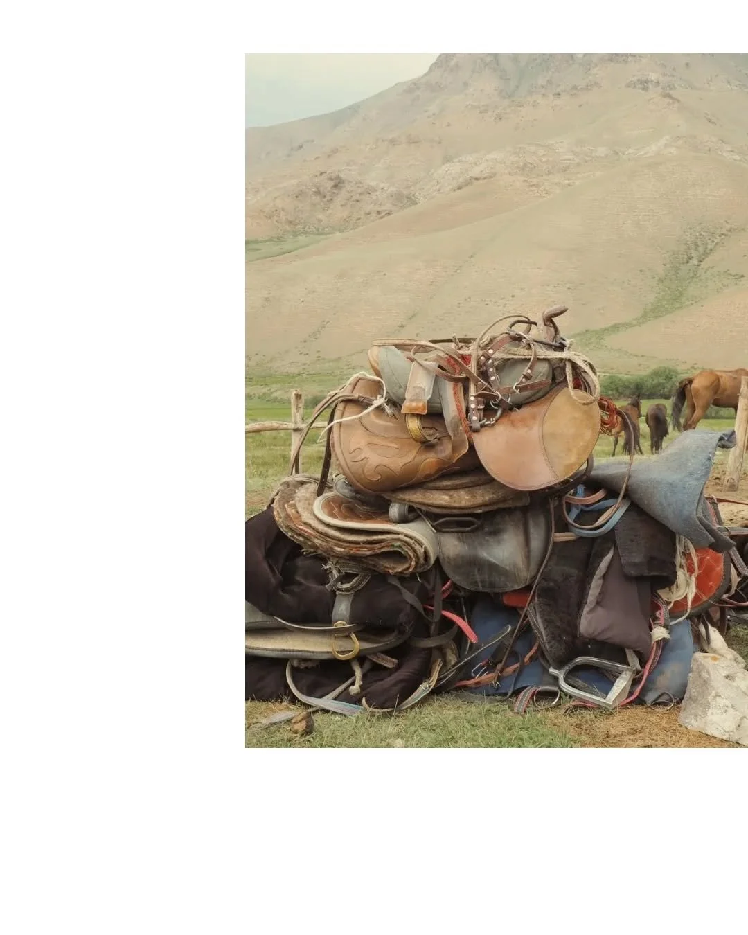 pit stop #kyrgyzstan #horsebacktravel