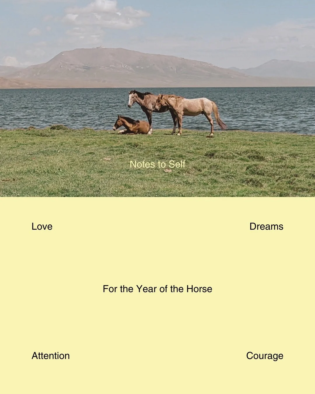 One month into my new year (in other words, one month of being 28) and the year of the horse keeps on surprising 🫡 so this is a note to self and the first clue for what&rsquo;s in my cards this year. Ready to play Sherlock?
#courage #bebrave #yearof