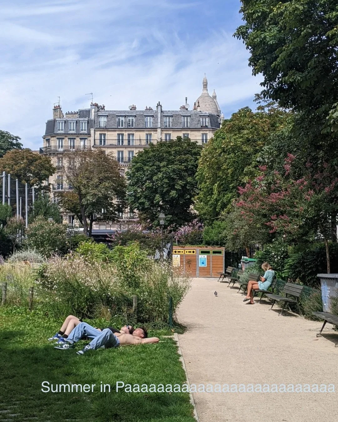 Summer in the city maxxxing until I leave 🐎⛰️ special feature for my little apartment 🧁 #parislife #summerinthecity #maxing #paristopatagonia #culturewriter