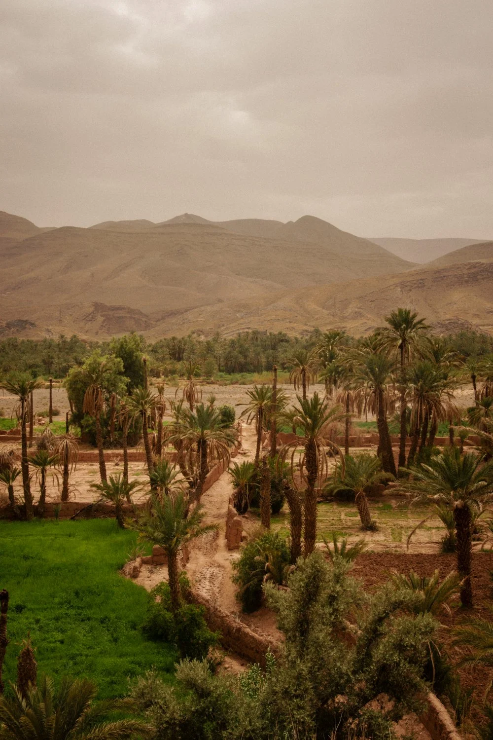 La famille au Maroc en avril  2026-83.jpg