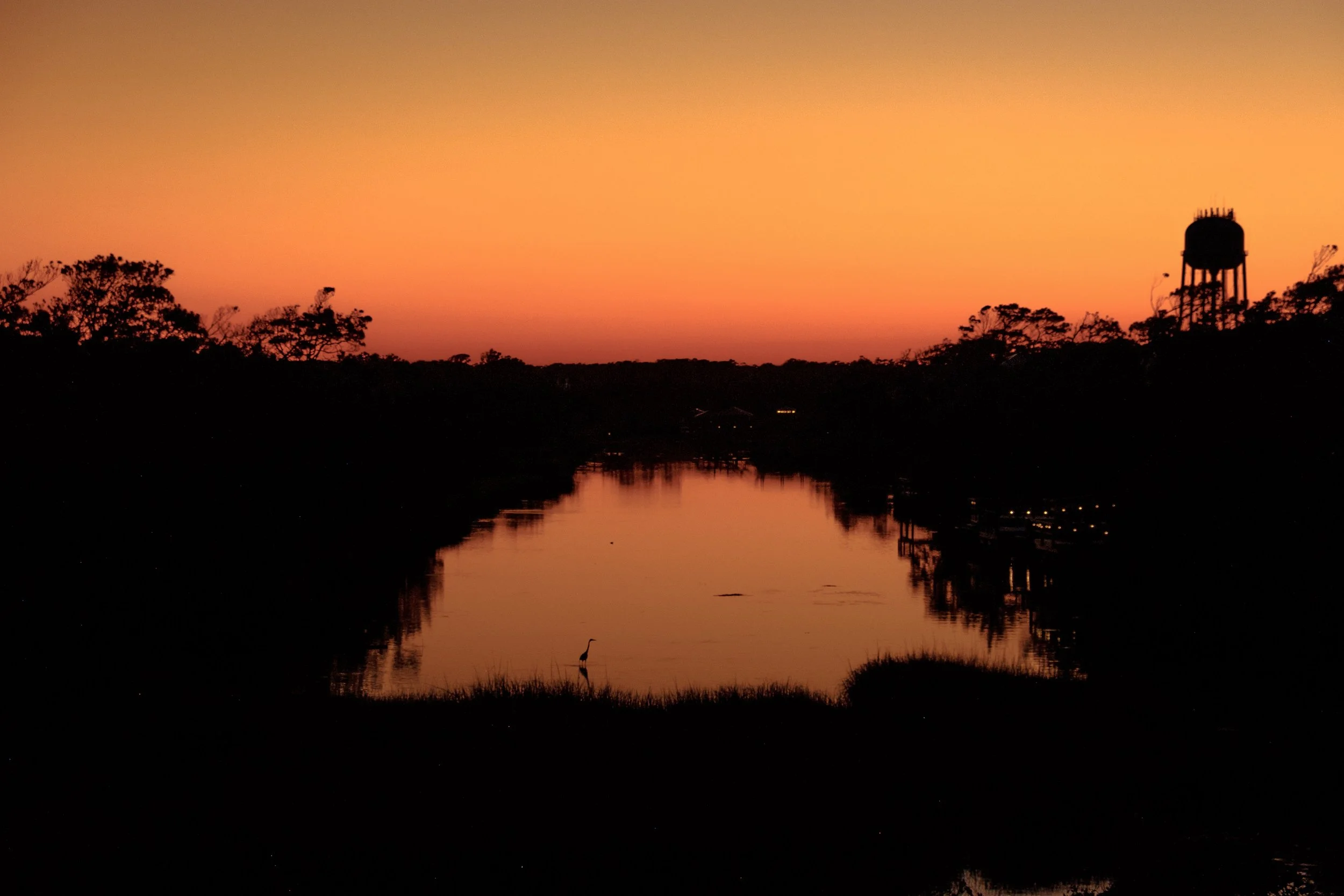 oak island.jpg