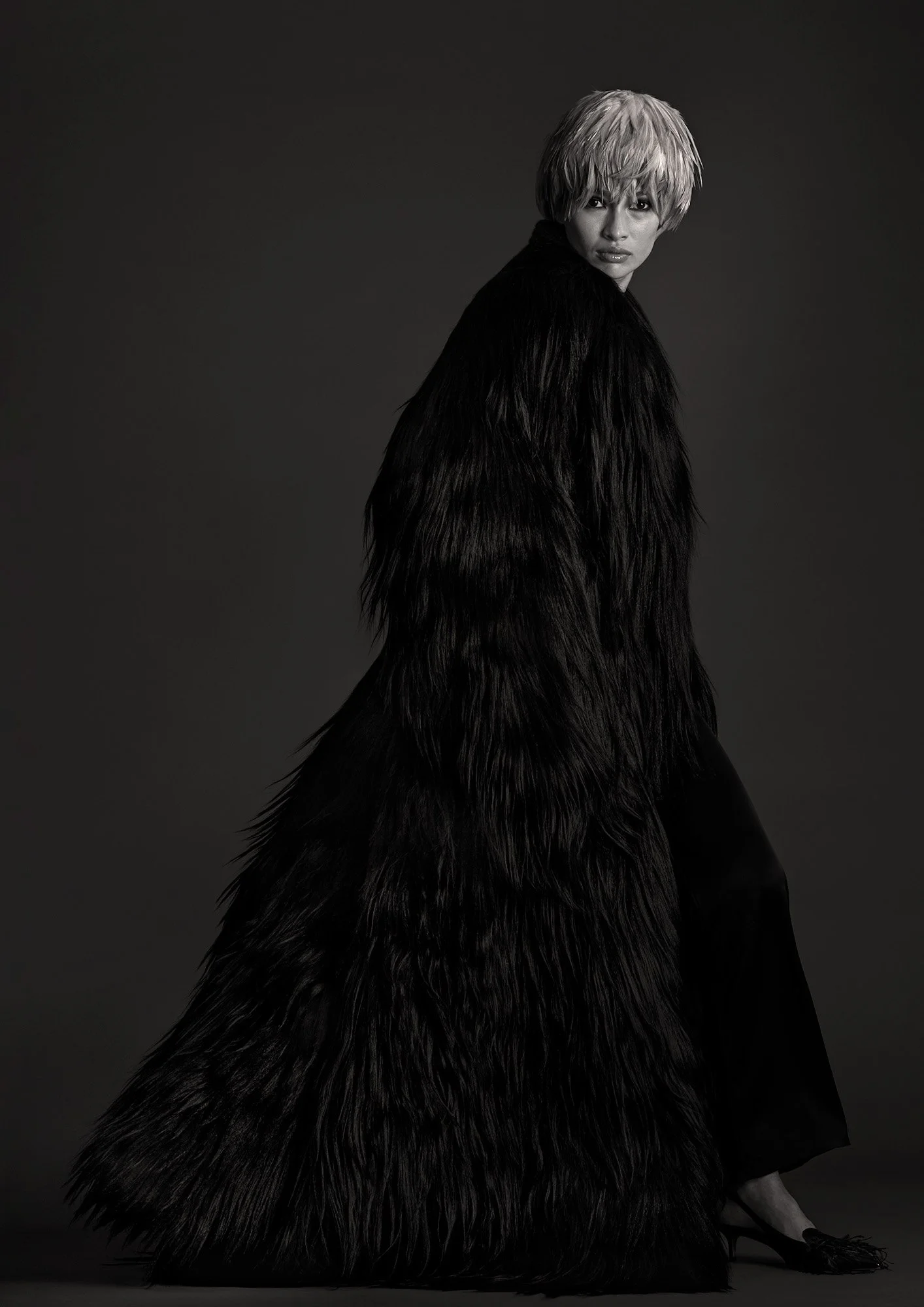 Final Plumage 1 2000pxH 72dpi.jpg