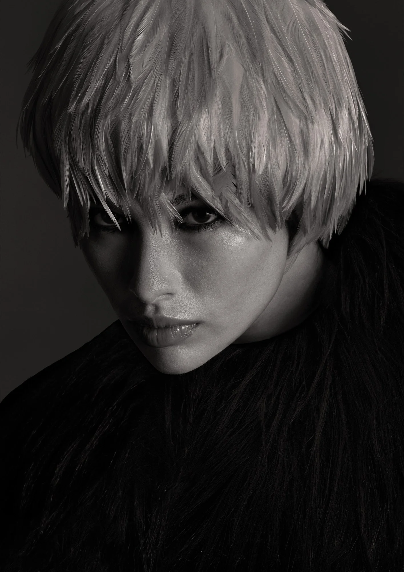 Final Plumage 10 2000pxH 72dpi.jpg