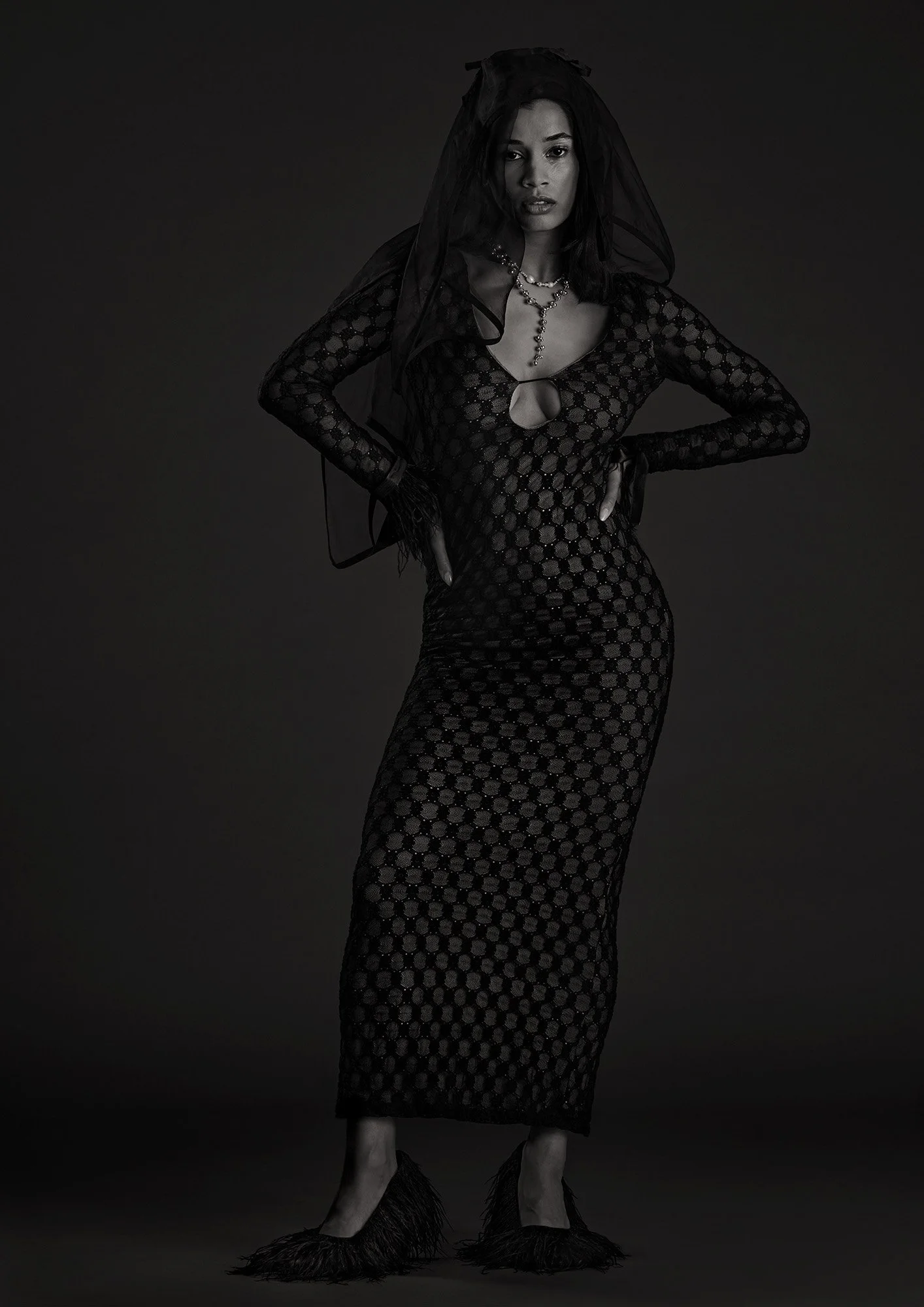 Final Plumage 8 2000pxH 72dpi.jpg