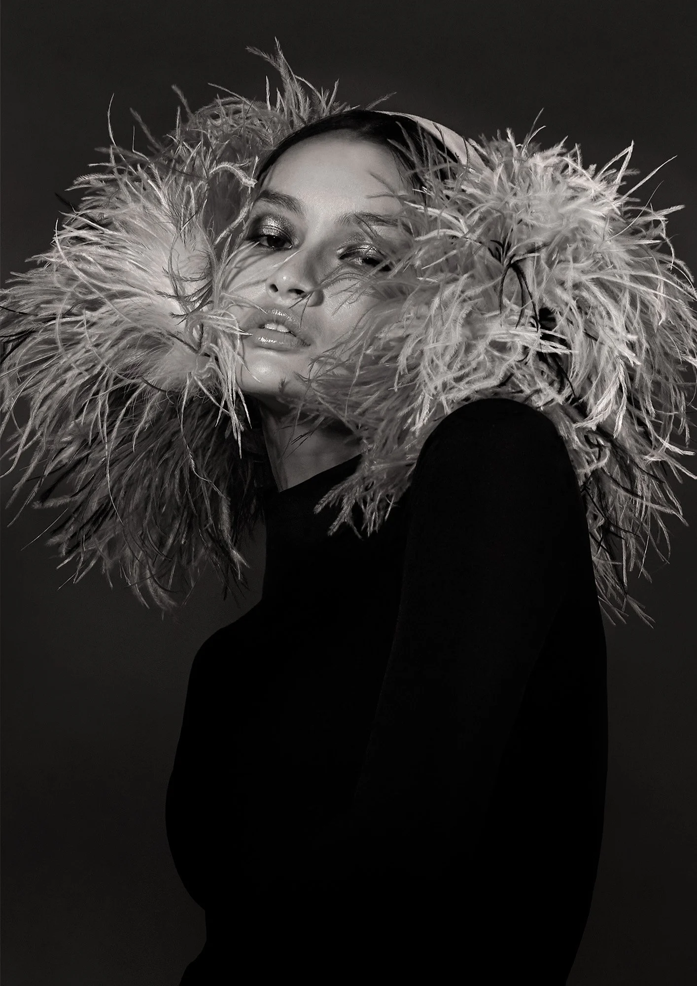 Final Plumage 2 2000pxH 72dpi.jpg