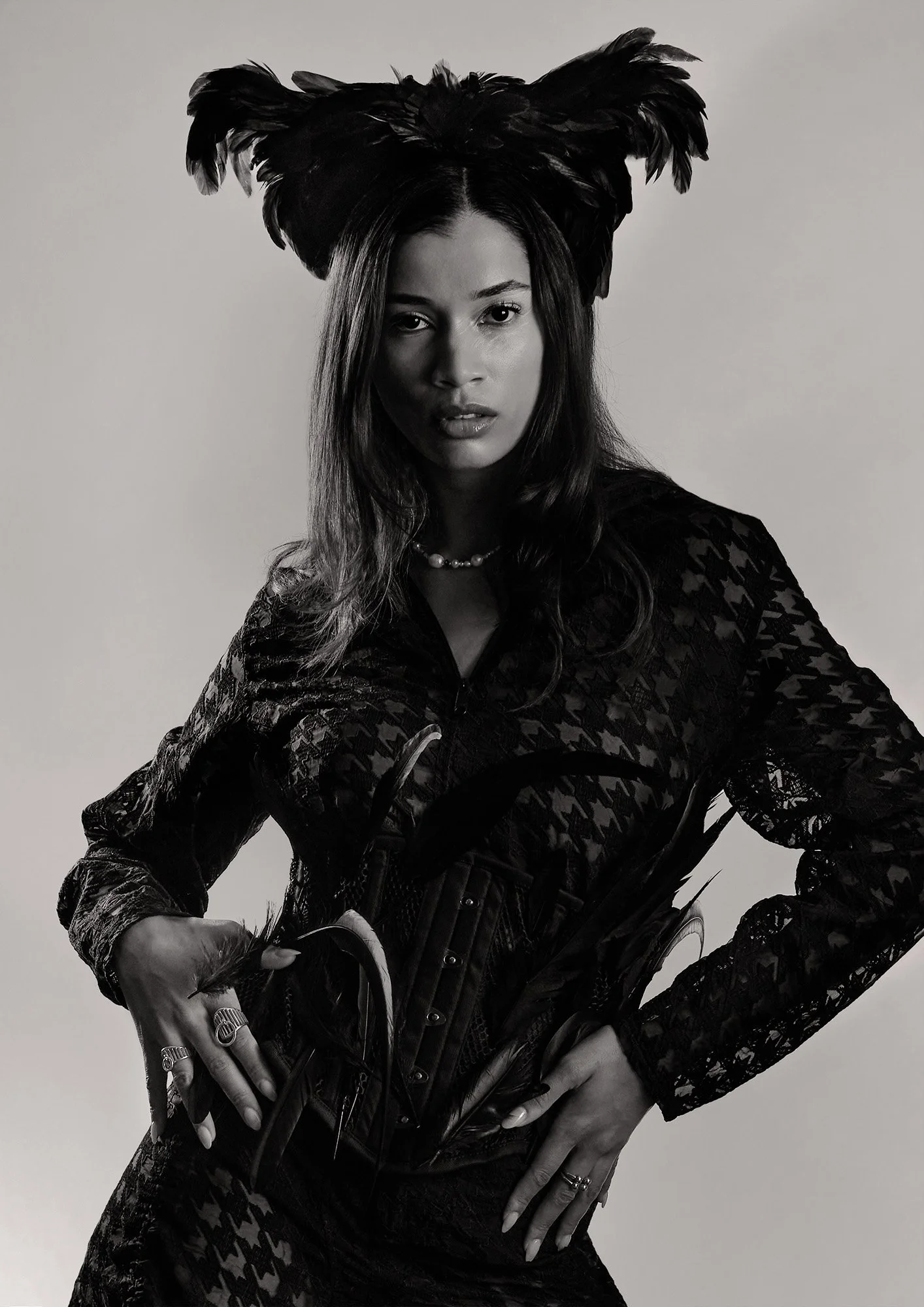 Final Plumage 7 2000pxH 72dpi.jpg