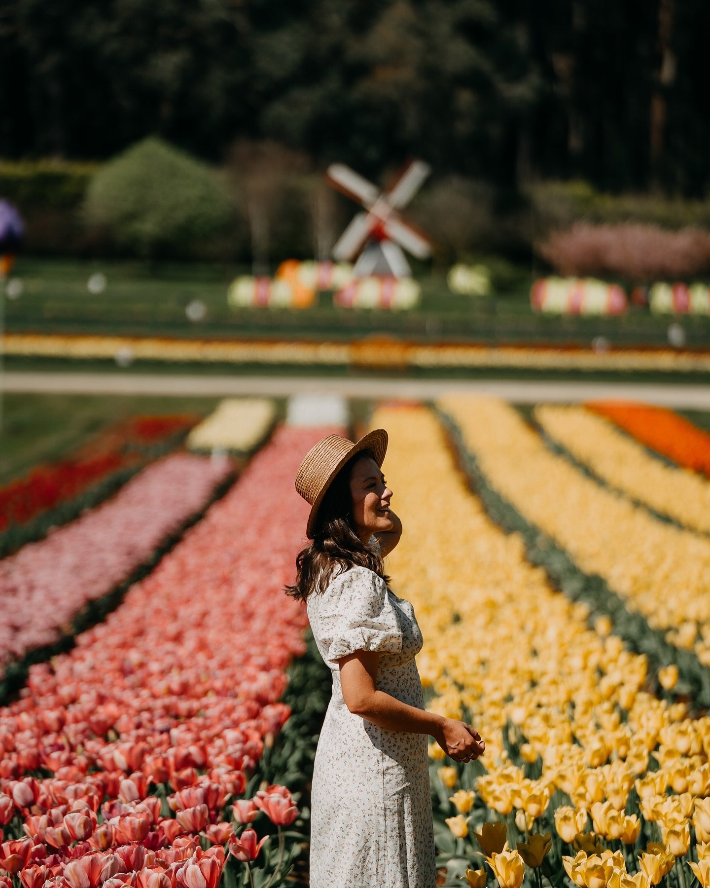 Our favourite time of year 🌷

Colourful frames for a fun shoot we did with @visitmelbourne for the Tesselaar Tulip Festival in Silvan, Dandenongs.