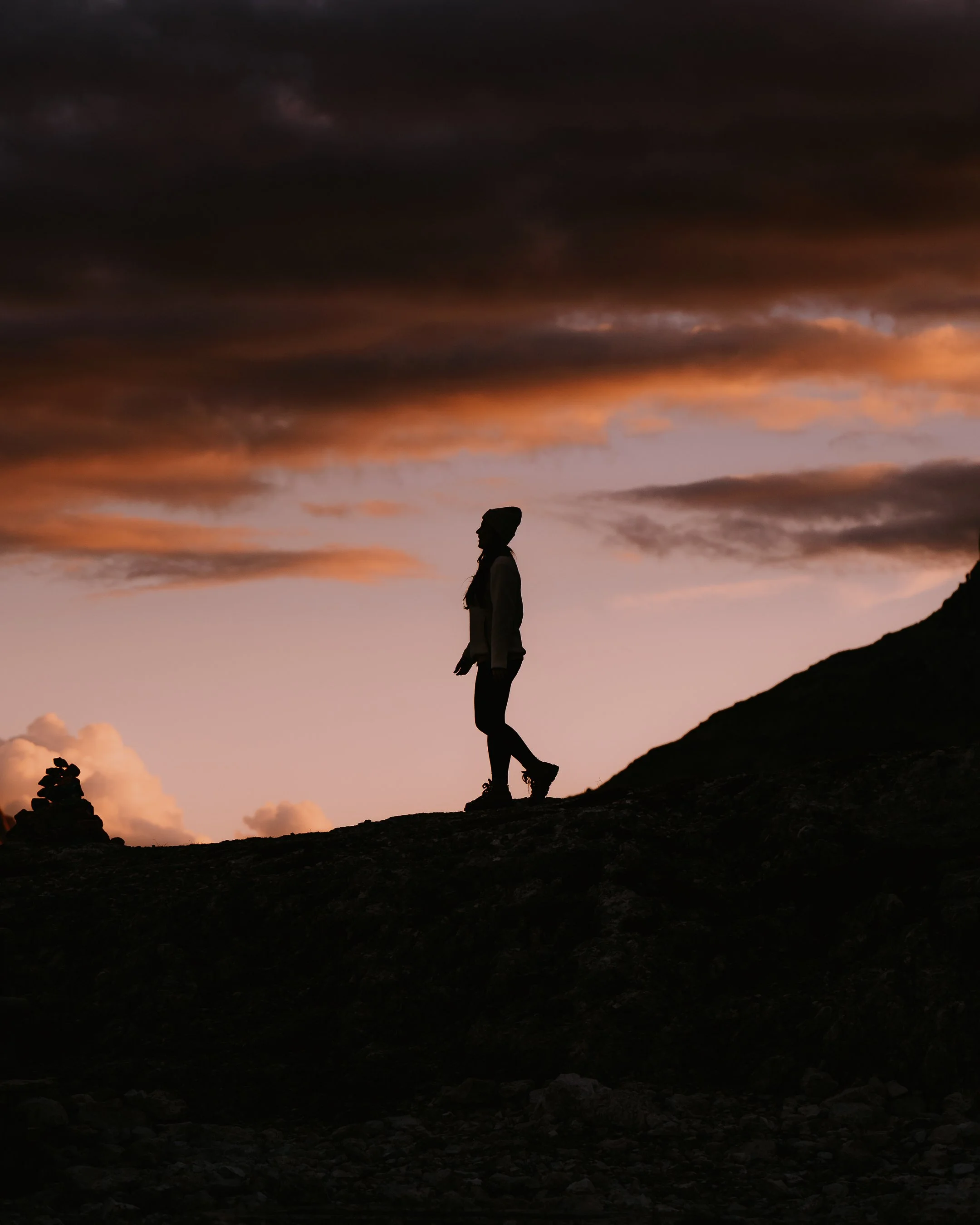 The Common Wanderer-301-2.jpg