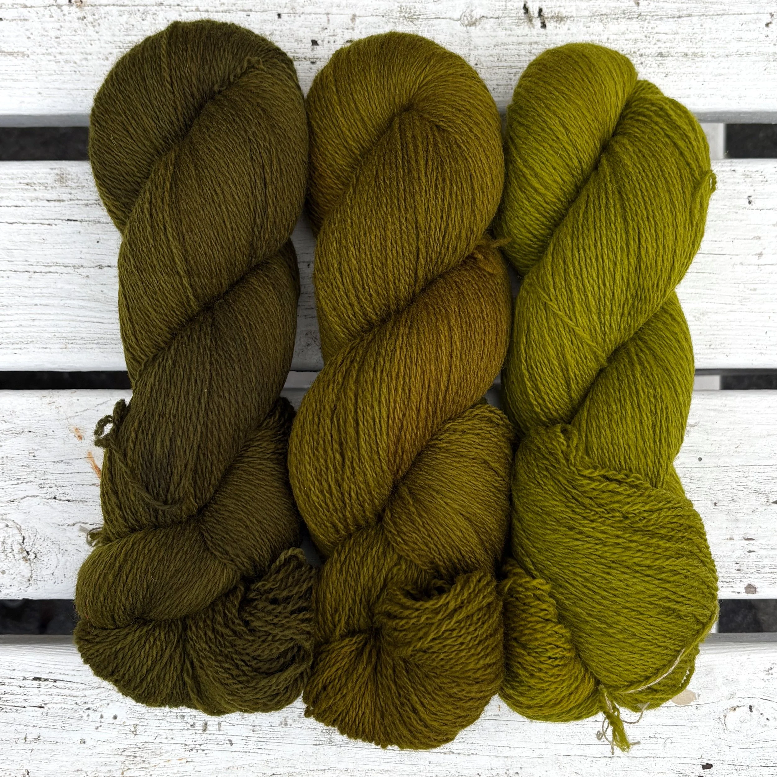 IMG_7281.jpeg (Copy)