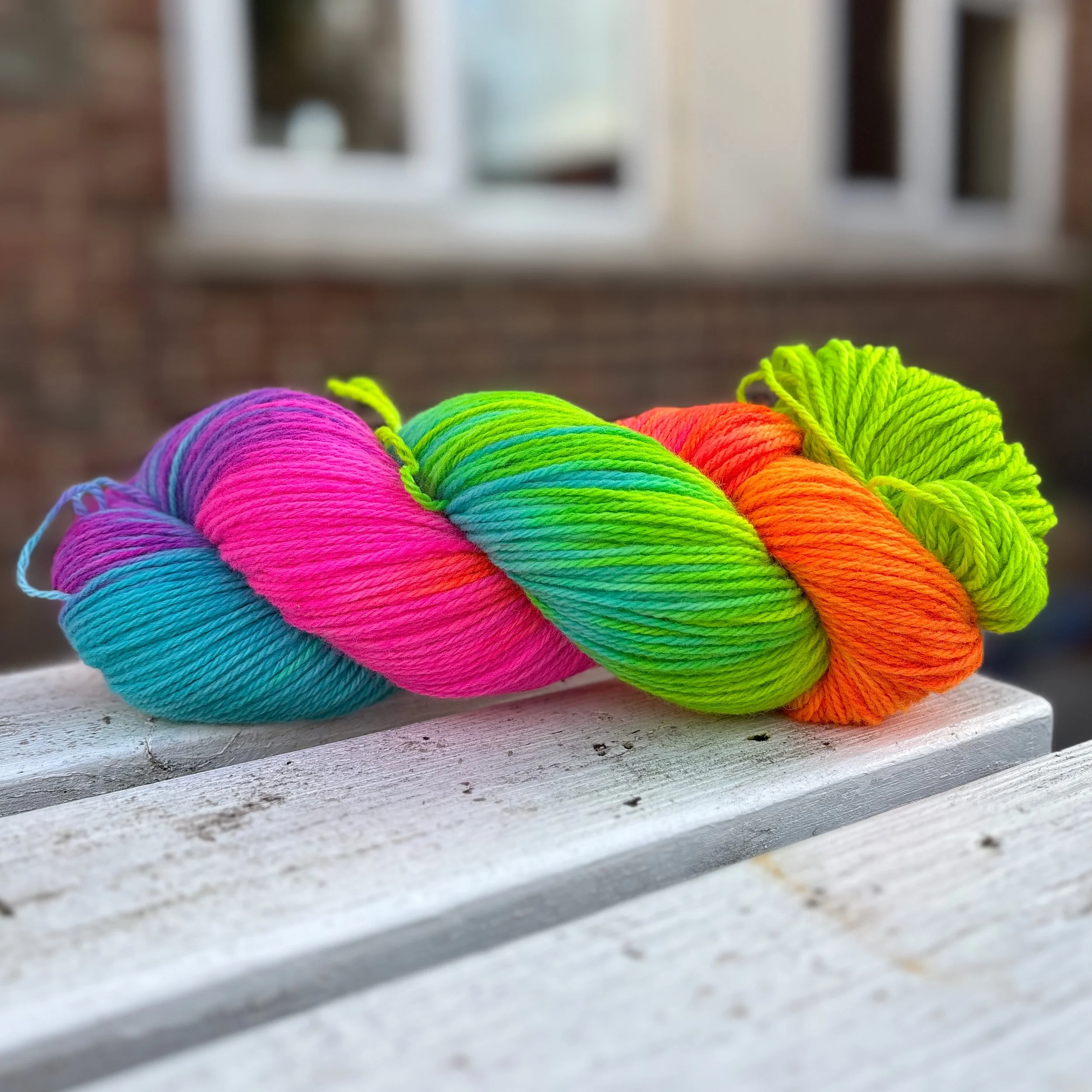 IMG_6482.jpeg (Copy)