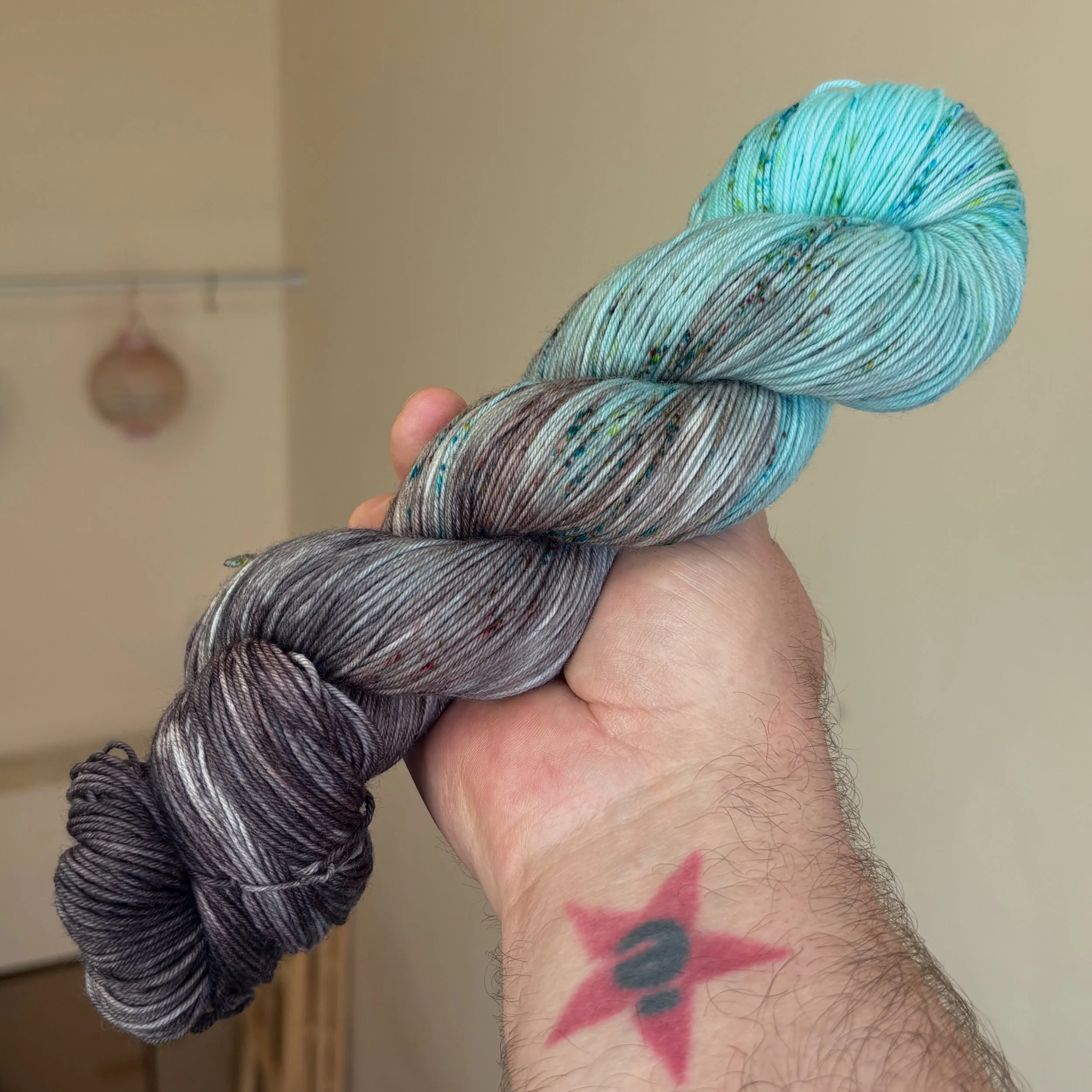 'Silver Springs' (Soxy Sock)