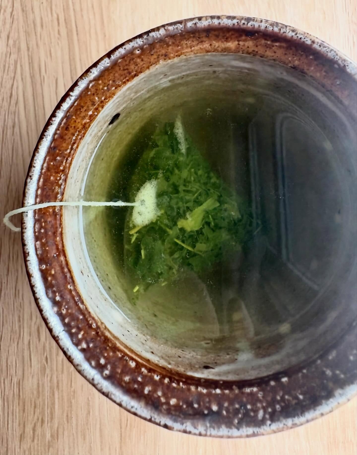 A Tea Bag in Your Bag🍵

An easy cup of excellent organic Japanese tea, ready to be enjoyed wherever life takes you. I never leave home without a stash of our Organic Sencha Tea Bags in my bag. I brew it in meetings, at the movies, on a hike, at a fr
