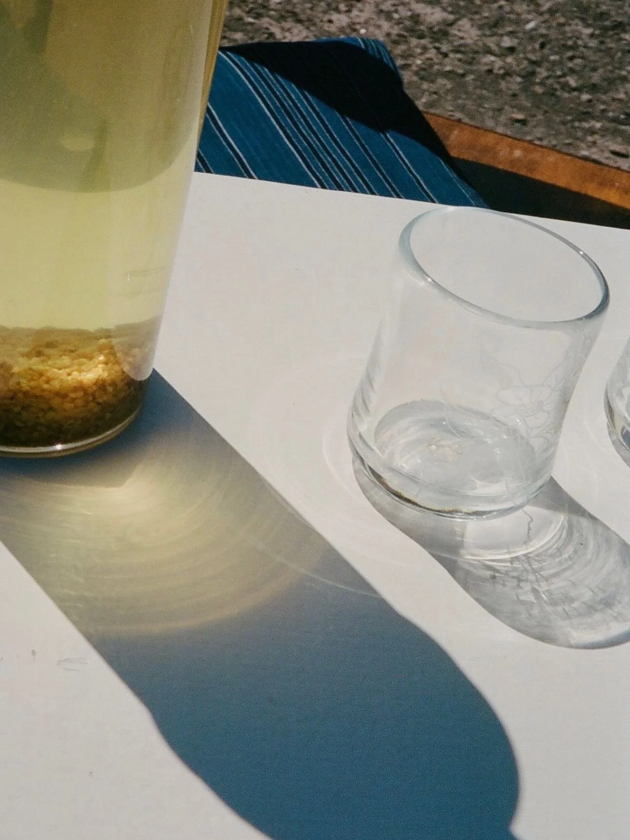 Cold Brew Sobacha 🤍
A perfect early-spring beverage - perfect for the first rays of spring sun.