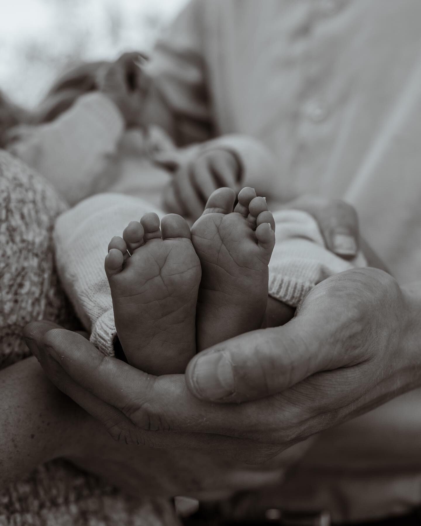 Details. Ik hou ervan tijdens een shoot.  Zo probeer ik je te laten zien hoe het voelde. Dat kleine, de geborgenheid, de connectie met elkaar. ✨
.
.
#newborn #newbornshoot #newbornshootassen #baby #kleintjegeboren #ouderschap #herinneringen #mymagica