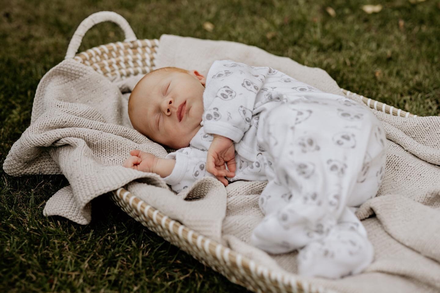 Kleine Mason 🧡. 
Zo heerlijk als ze nog maar een paar weken zijn. Tijdens een newborn shoot probeer ik altijd te kijken naar wat ik zelf ook zou willen onthouden, al dat schattige kleine.. Voetjes, handjes, maar ook de haartjes, oortjes, neusje en d