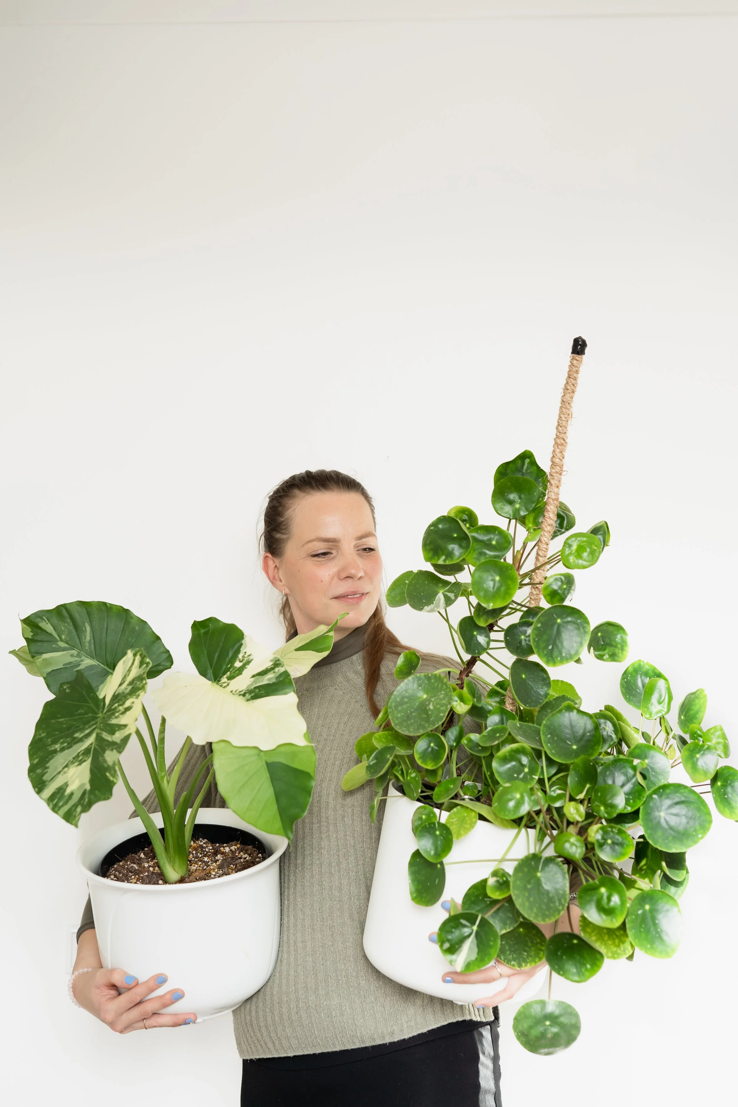 20231120_Plantenfoto's_Tessa_selectie-09148.jpg