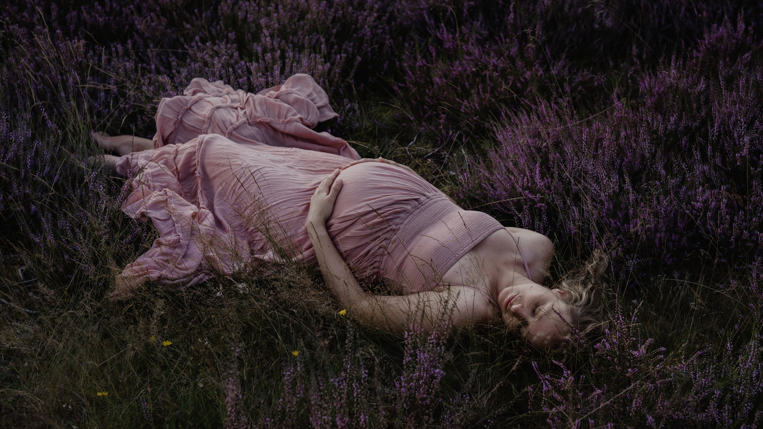 Zwangere vrouw ligt tussen de paarse heide in Drenthe, motherhood, nieuw leven, fotograaf Drenthe.