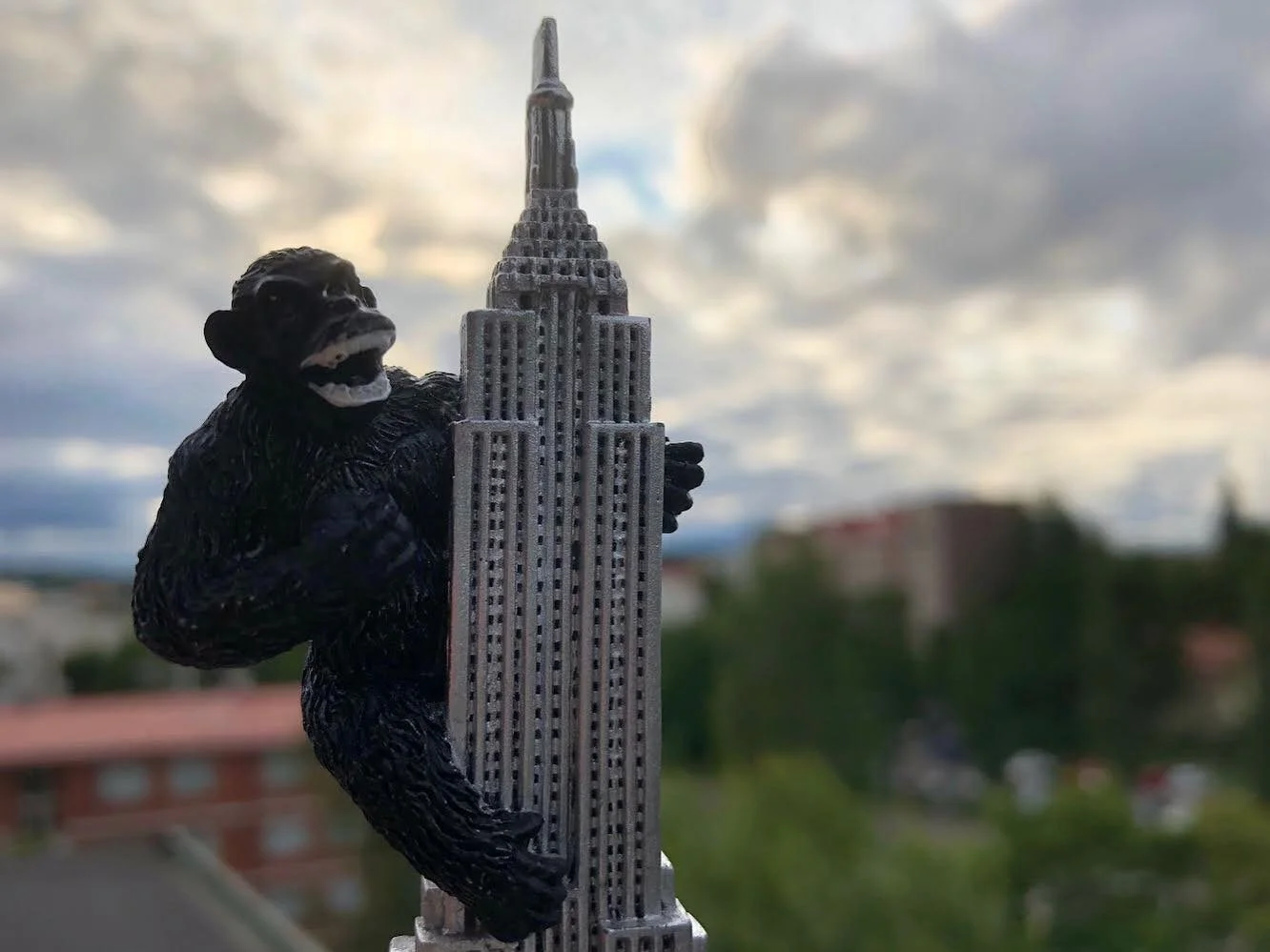 🦍KING KONG🦍

⚡️Viel&auml; paikkoja vapaana, varaa omasi pian: mika.juusela@gmail.com

⚡️Esitykset la 18.6 klo 13.15 &amp; 15.15, kokoontuminen Kanttilan pop up-kahvilassa⚡️

.

.

.

@kuopionkaupunki #kuopio