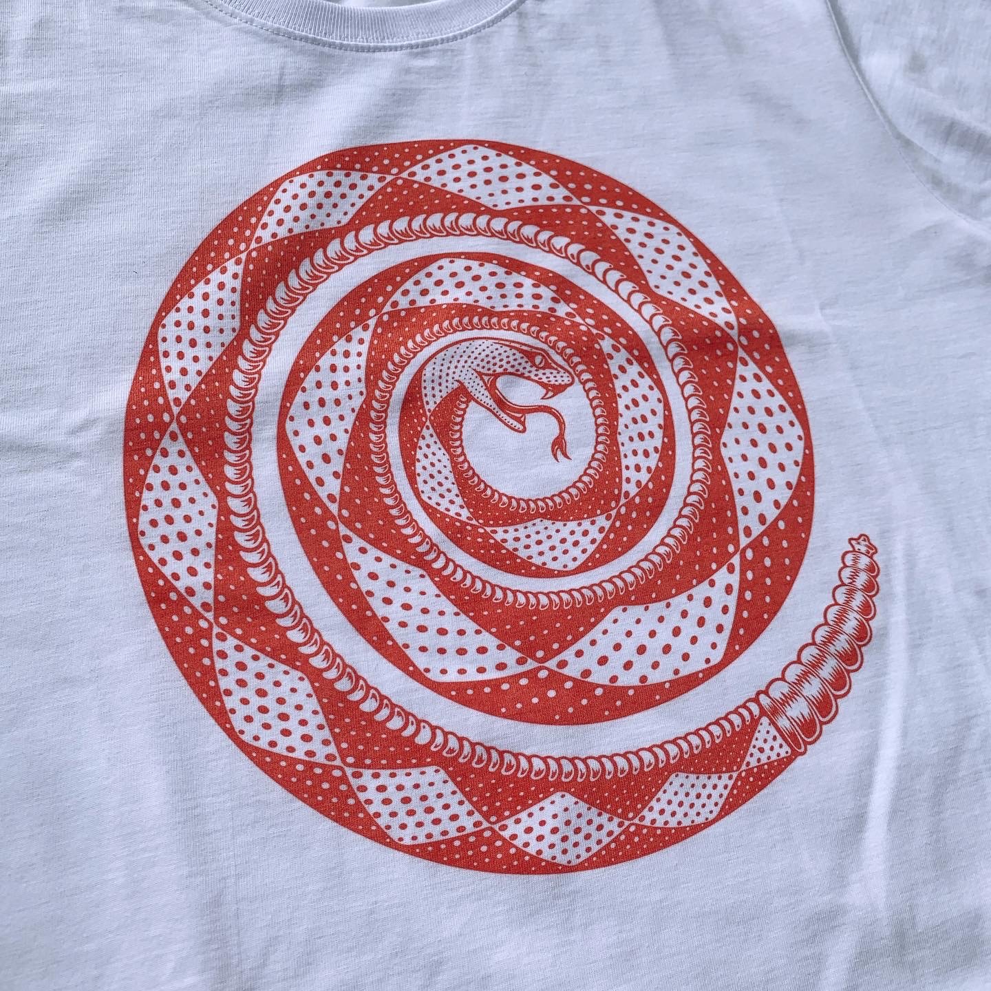 SNAKE RED CLOSE.JPG