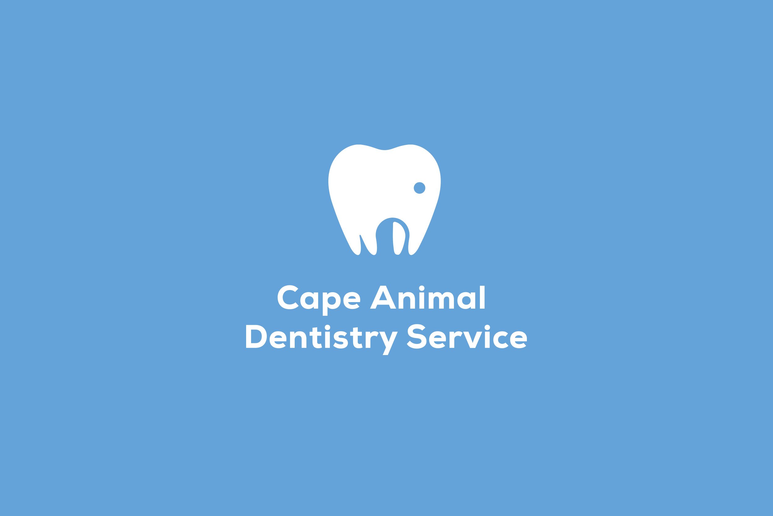 CADS-01.jpg