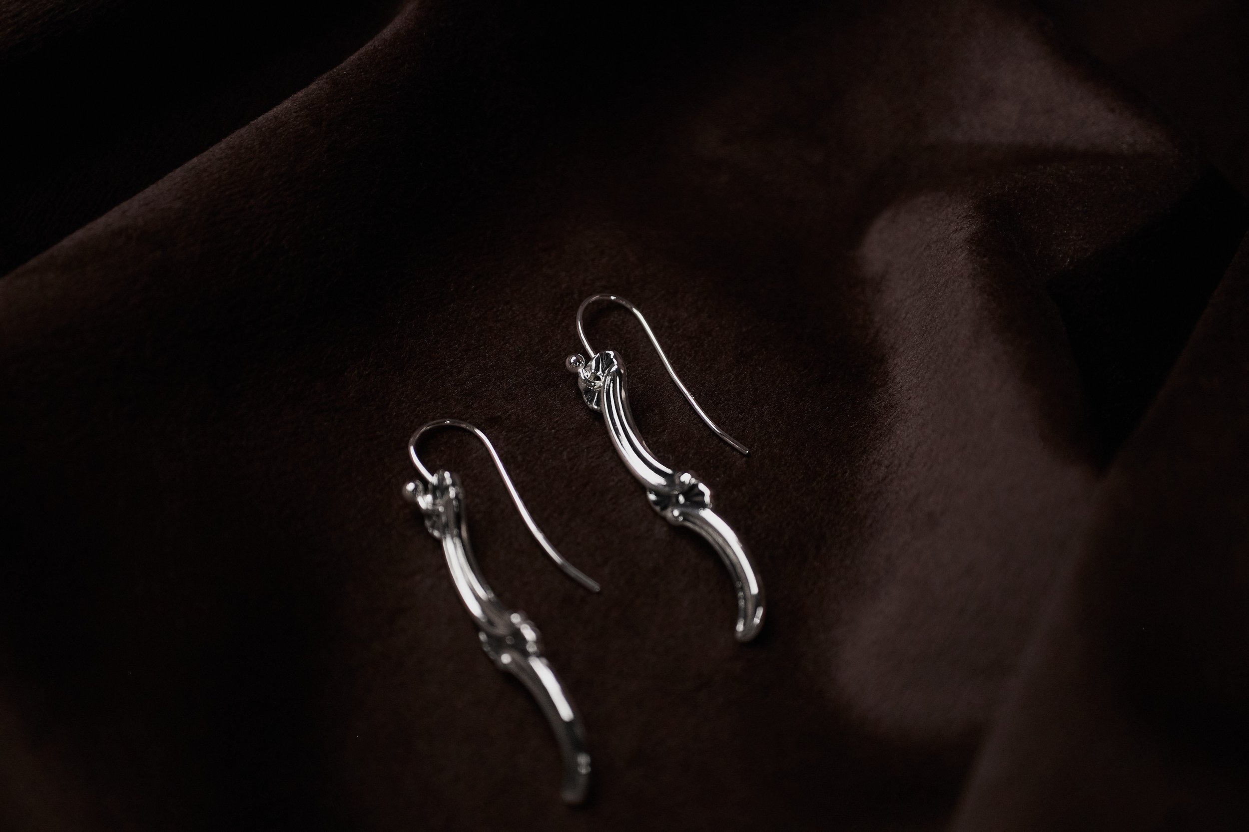 Oldemor Hook Earrings 2.4_web.jpg