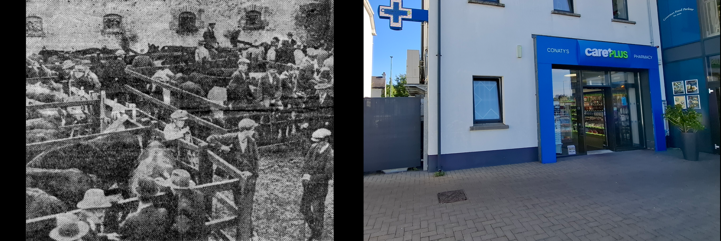 Cattle Show at Dunshaughlin Salesyard (now Conaty Care Plus Pharmacy on LIDL site); wall has been moved from side of main road to side of Crystal Glazing. 
1931. 
Photographer unknown