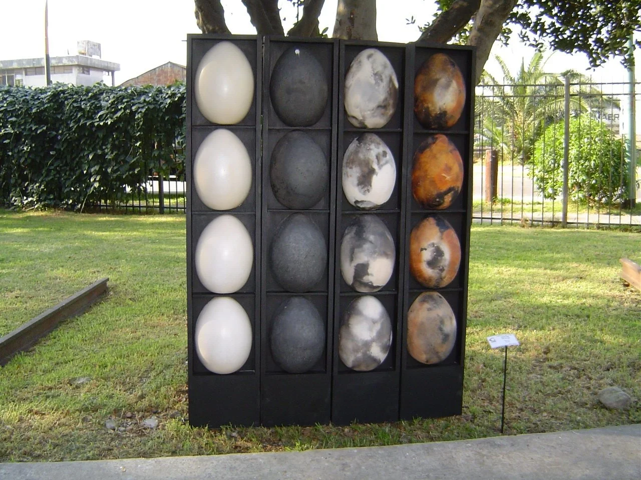 To born, to die - to choose ..JPG