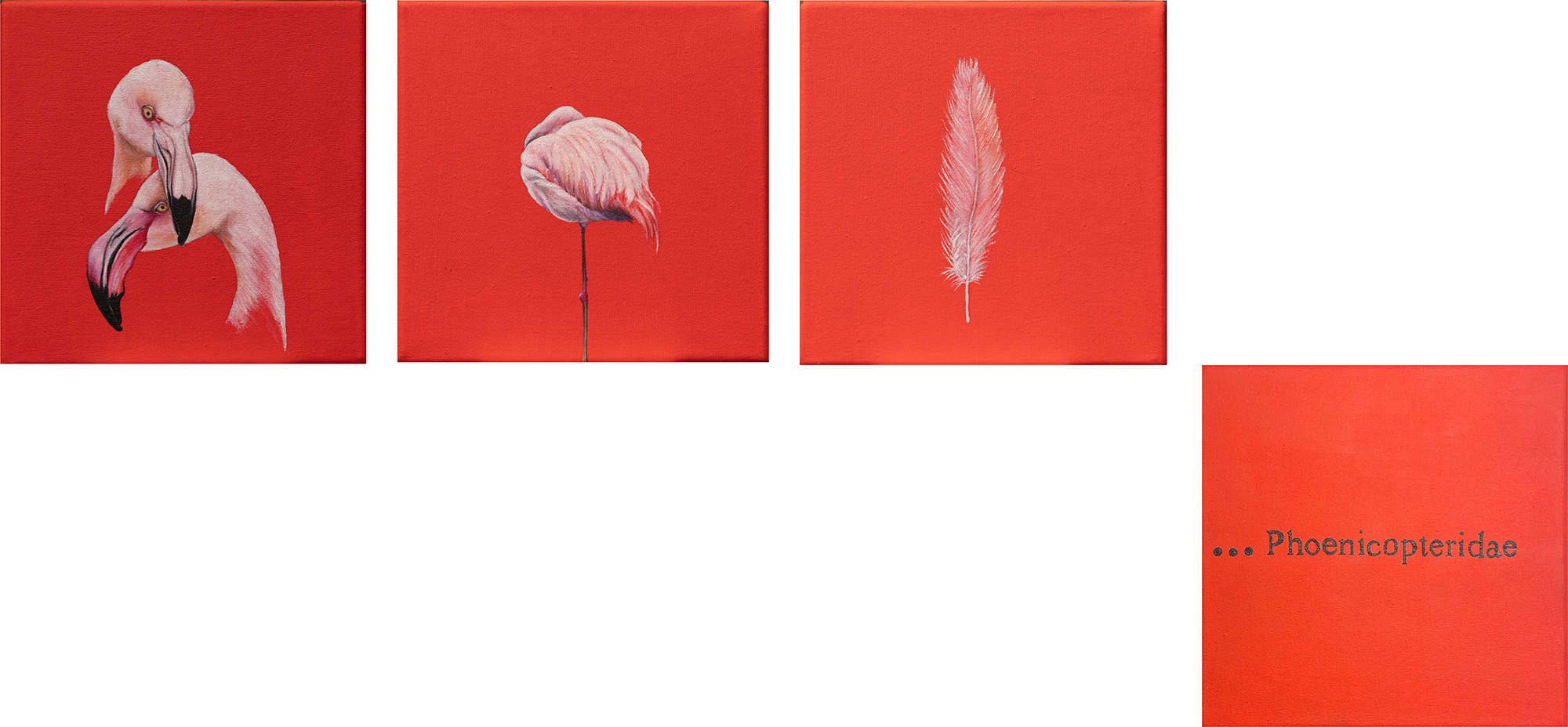 Flamencos (armado)baja.png