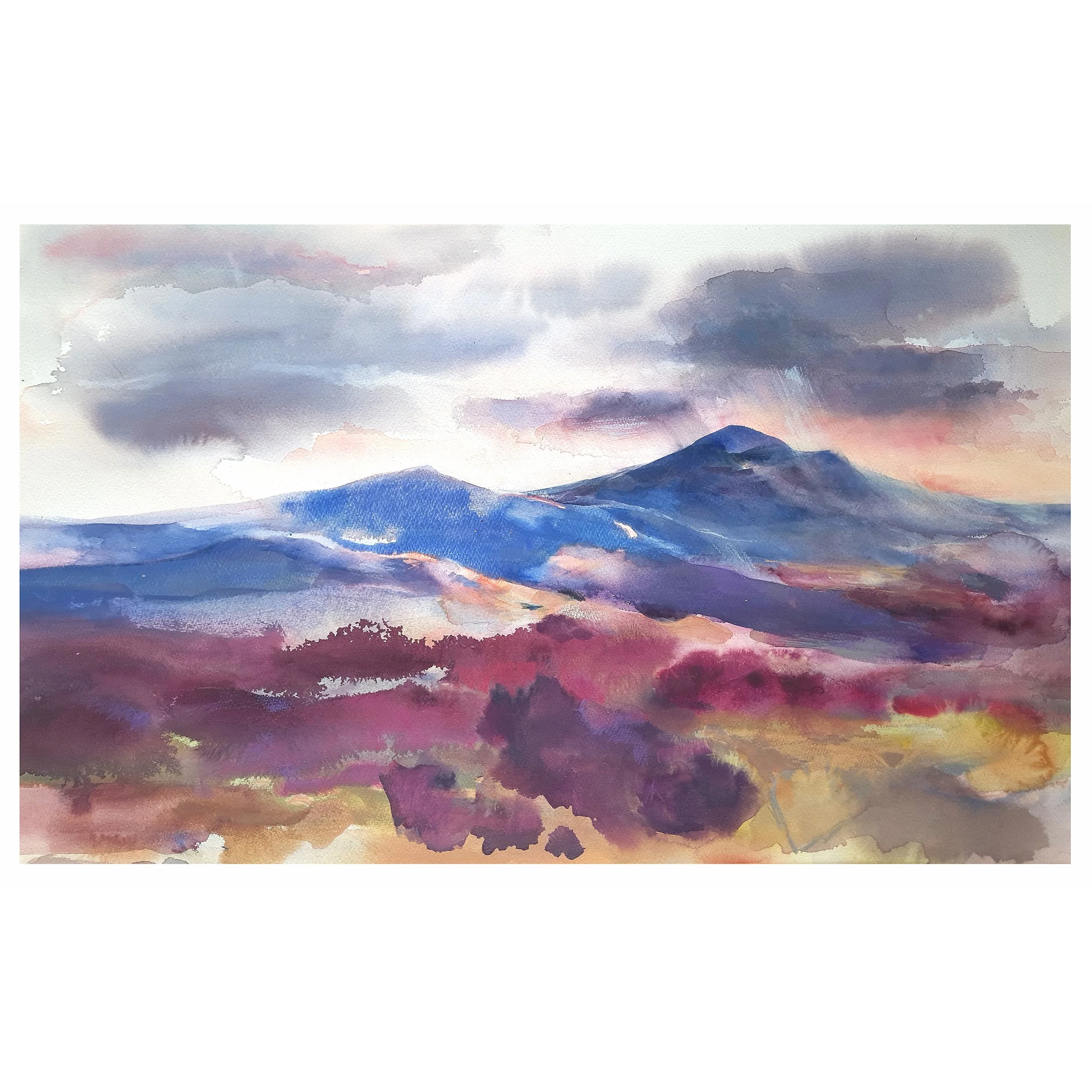 Evening Light by Jenny Ryrie