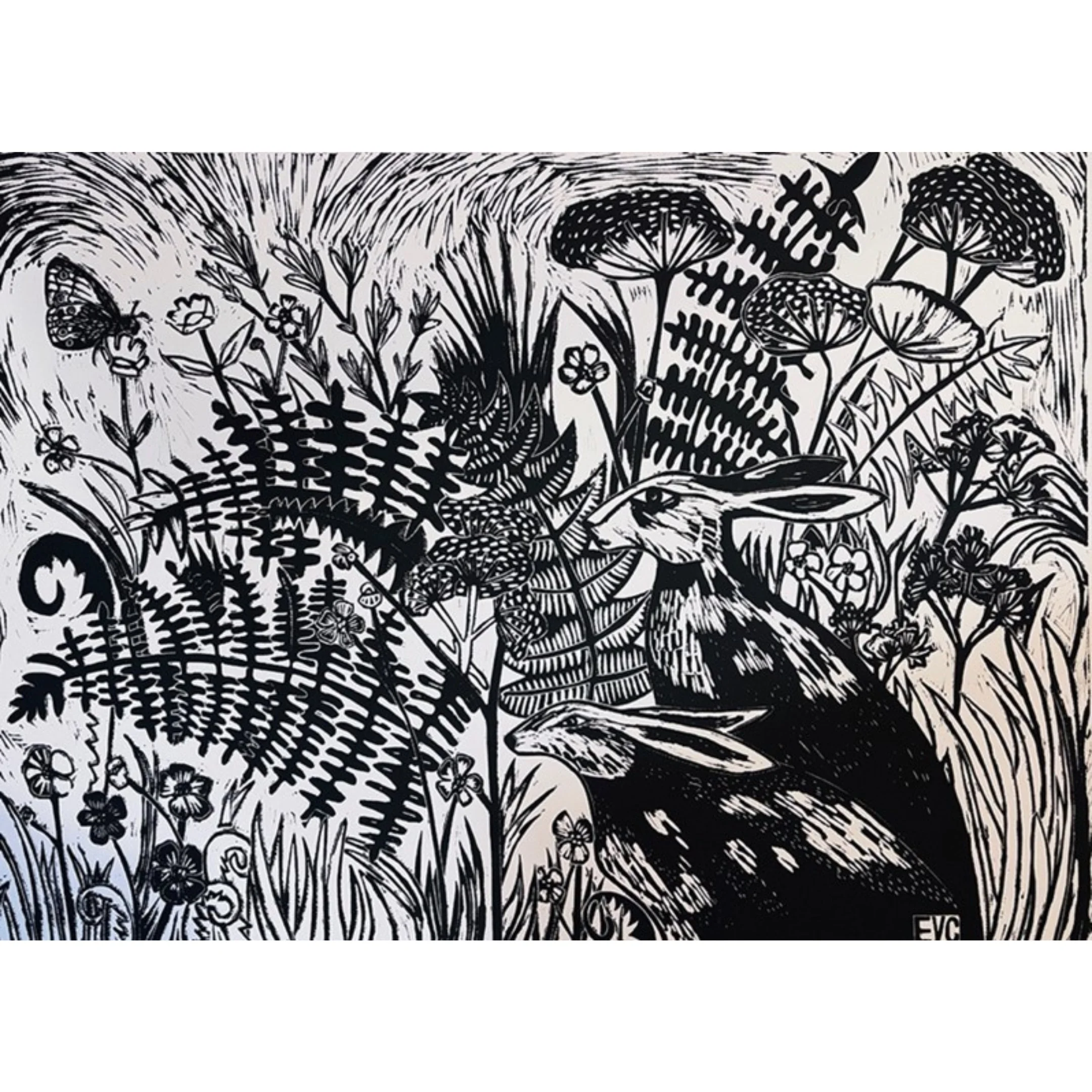 Cors Fochno by Elin Crowley