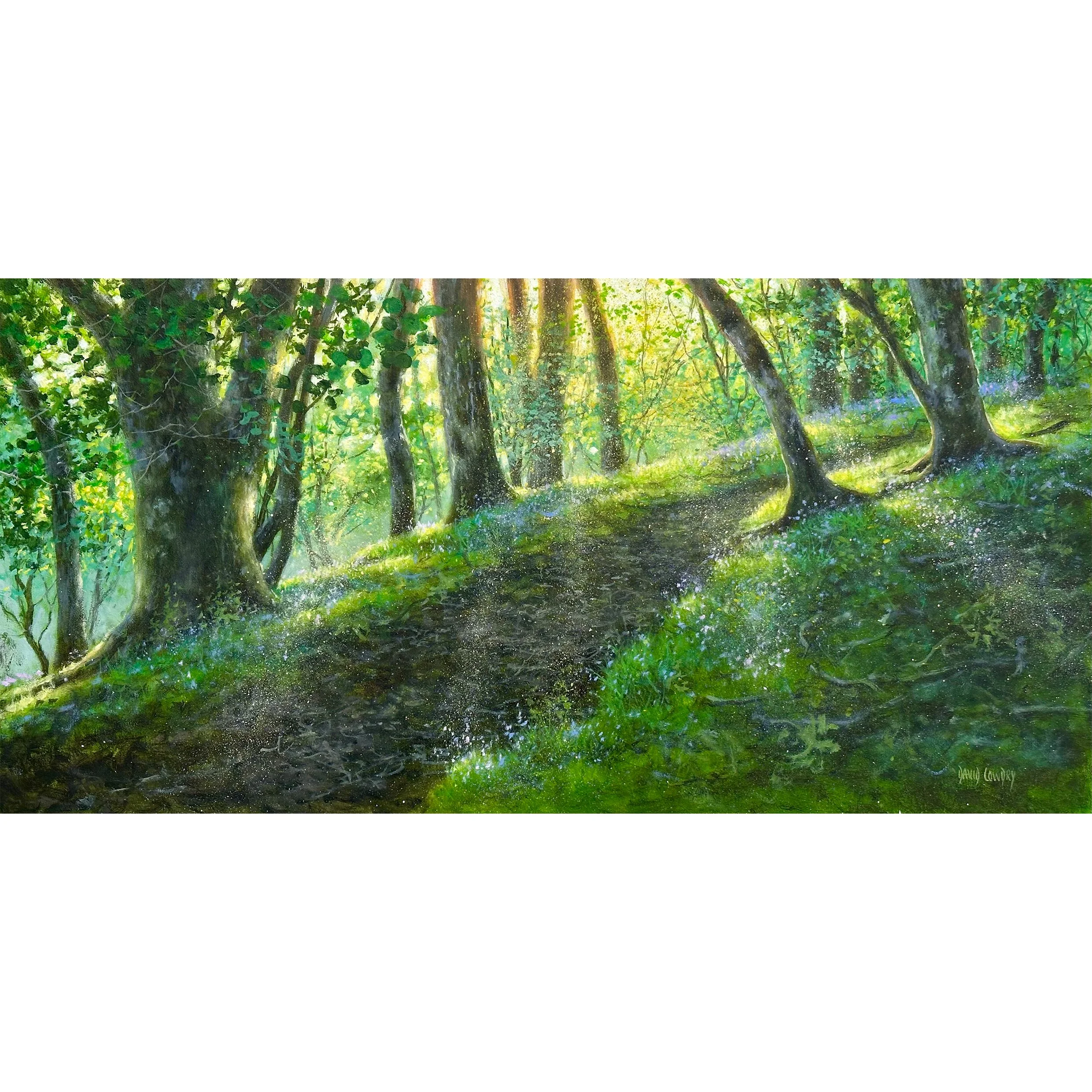 Evening Woodland, Bluebells by David Cowdry