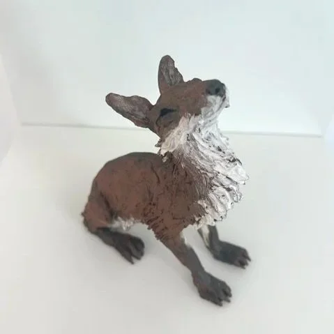 image9.jpg