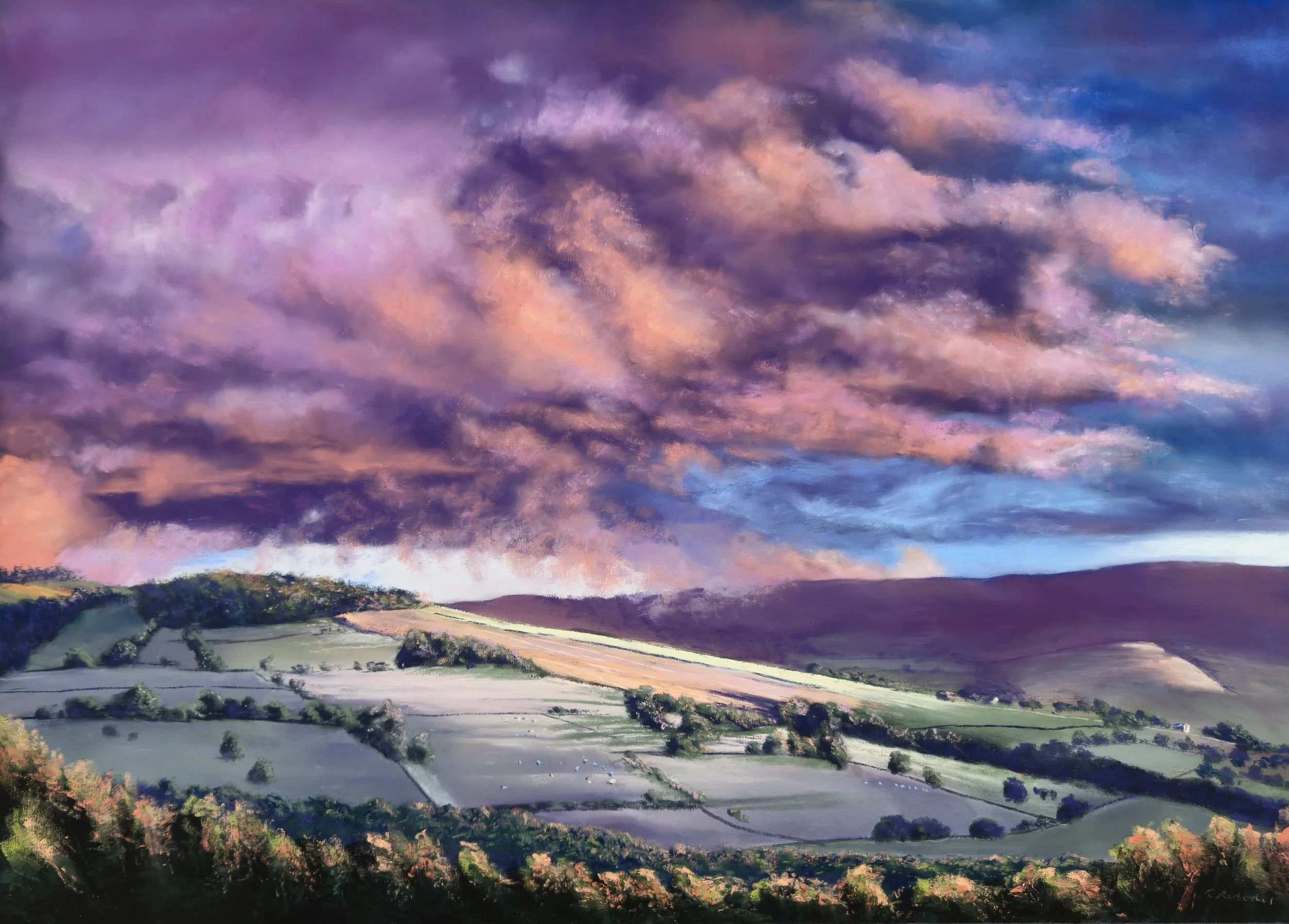 After the Storm.jpg