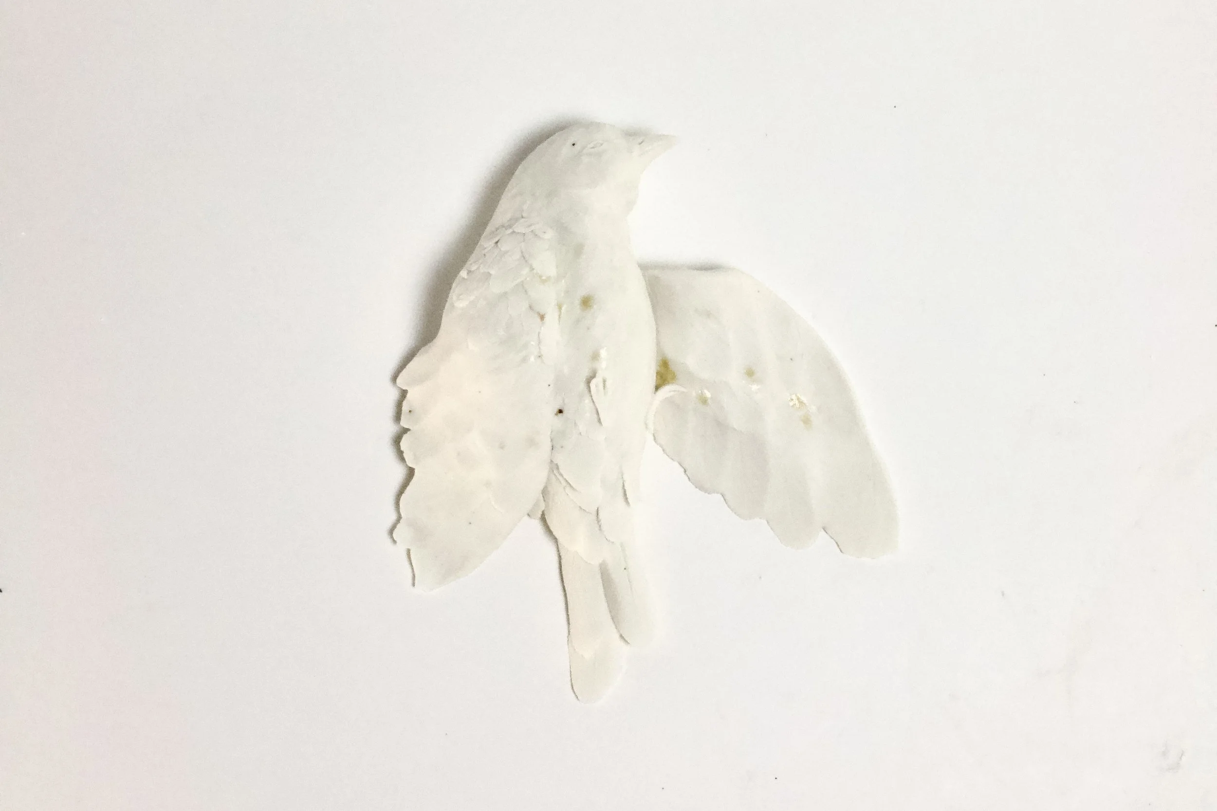 Ash Kissed Bird by Katherine Breaks