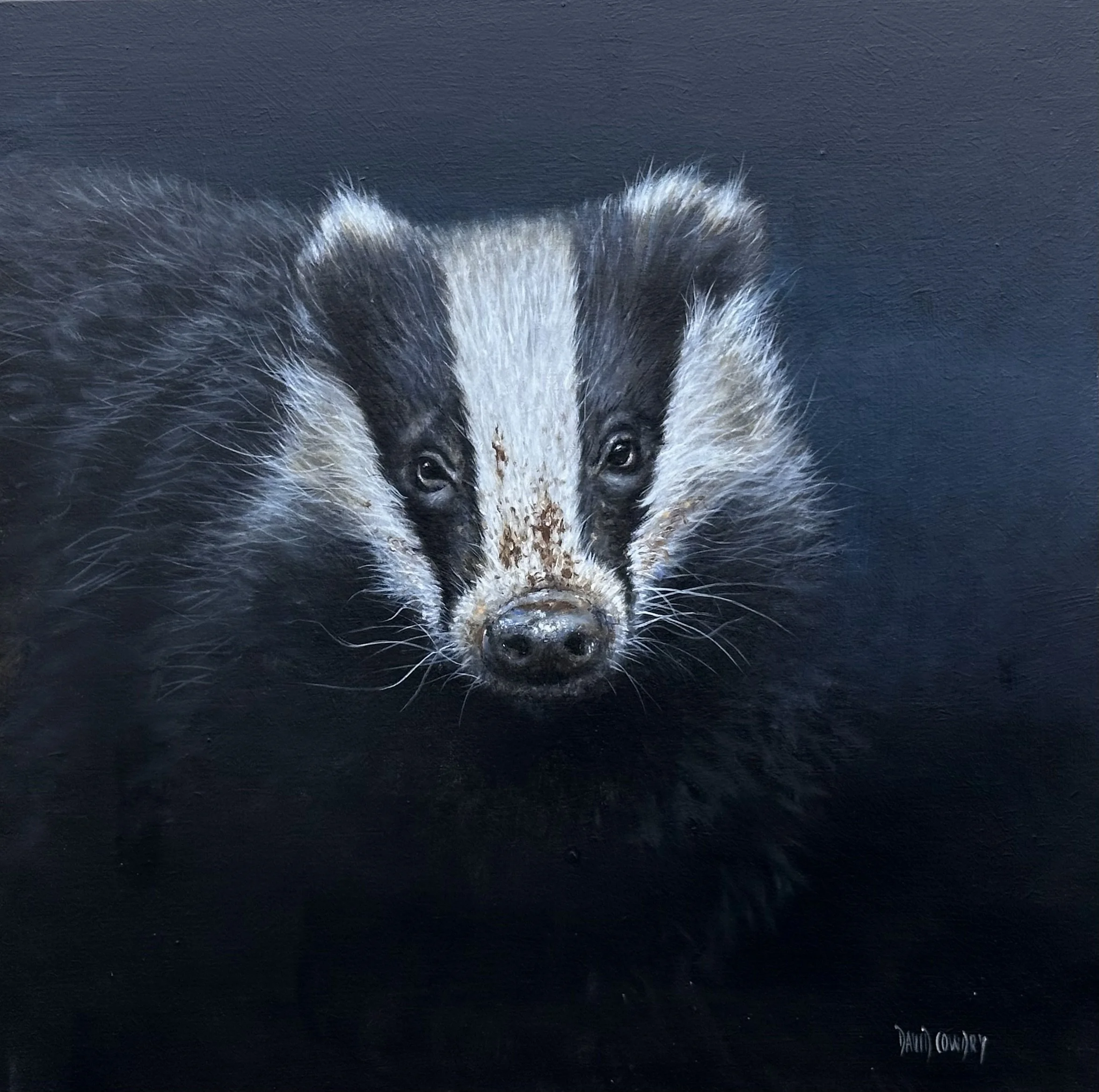 Moonlit Badger by David Cowdry