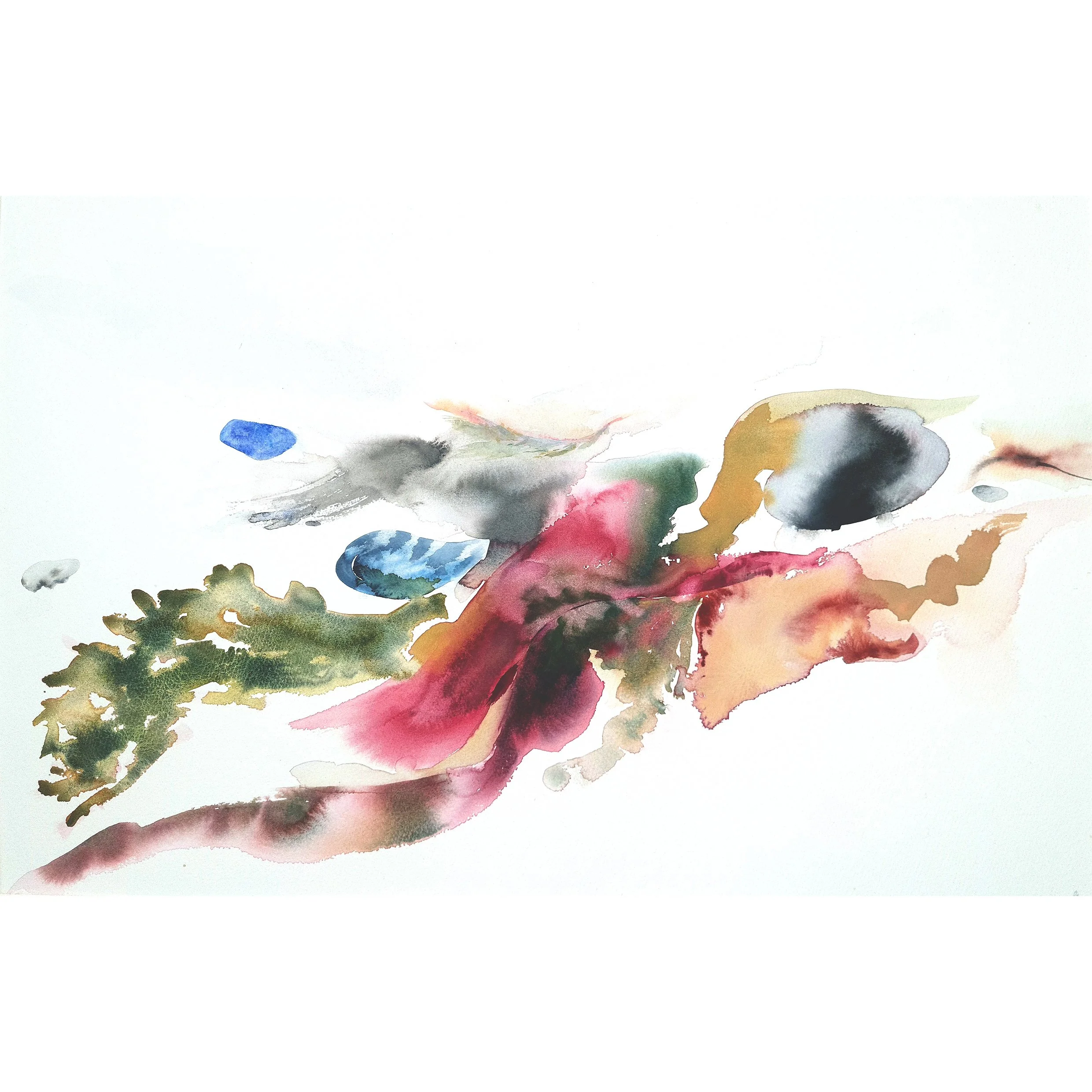 Sea Ribbons by Jenny Ryrie