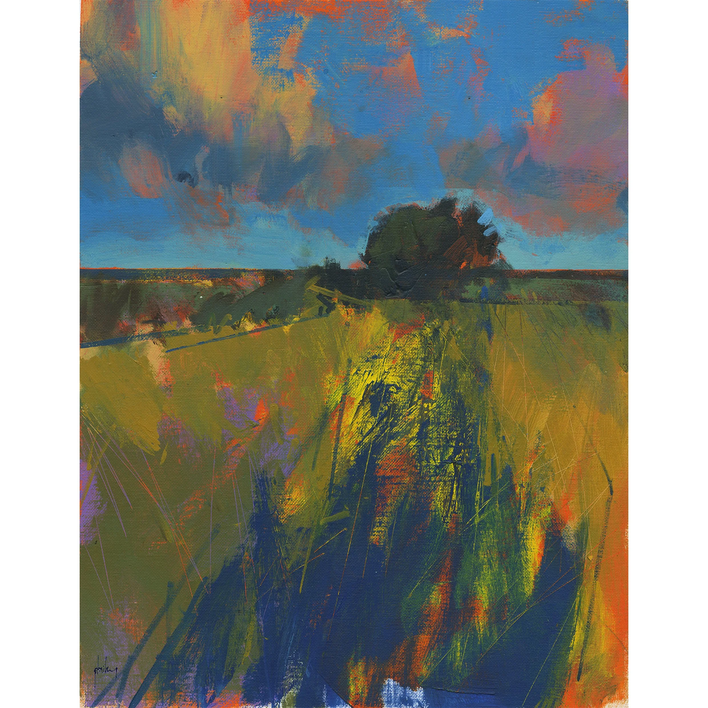 Dengie by Paul Bailey